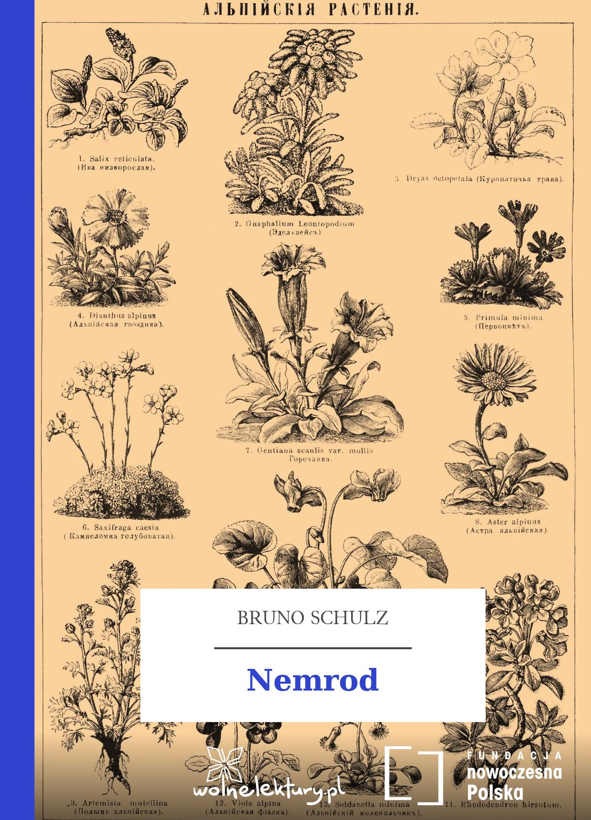 Nemrod book cover