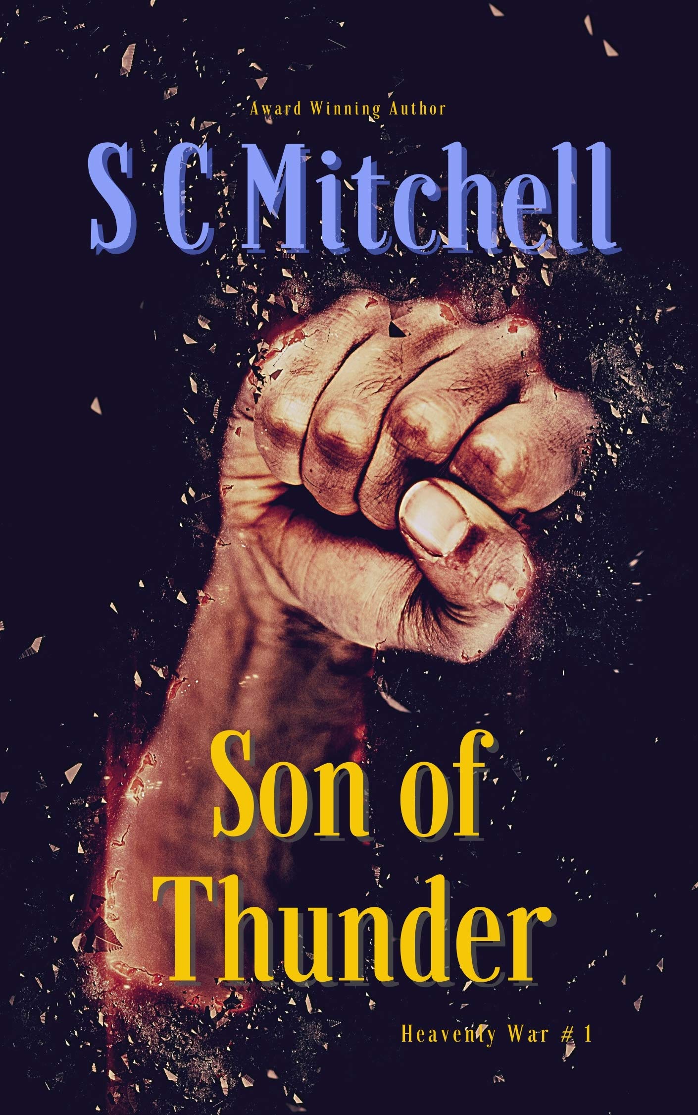 Son of Thunder book cover