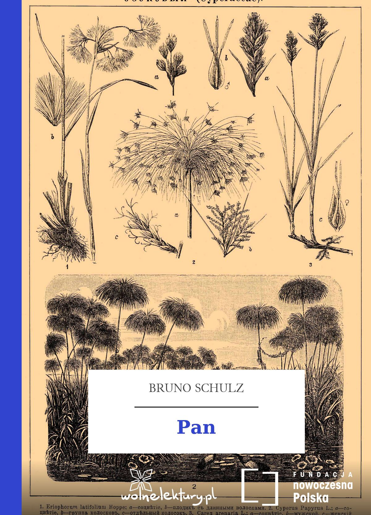 Pan book cover