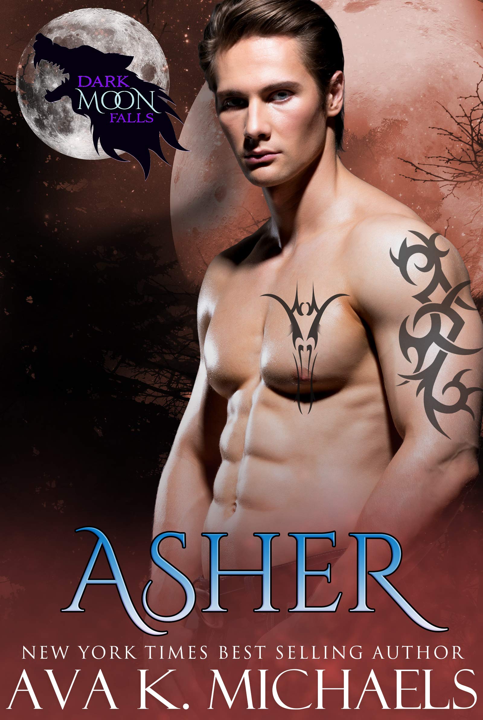 Asher book cover