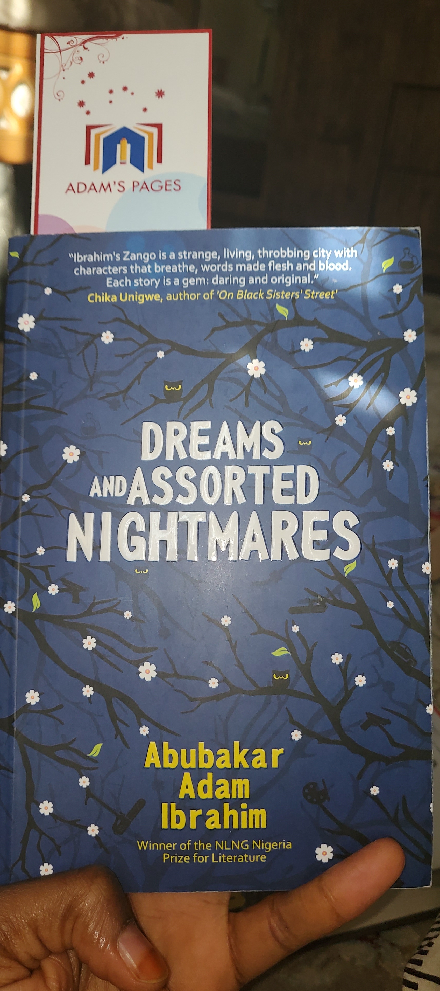 Dreams and Assorted Nightmares book cover