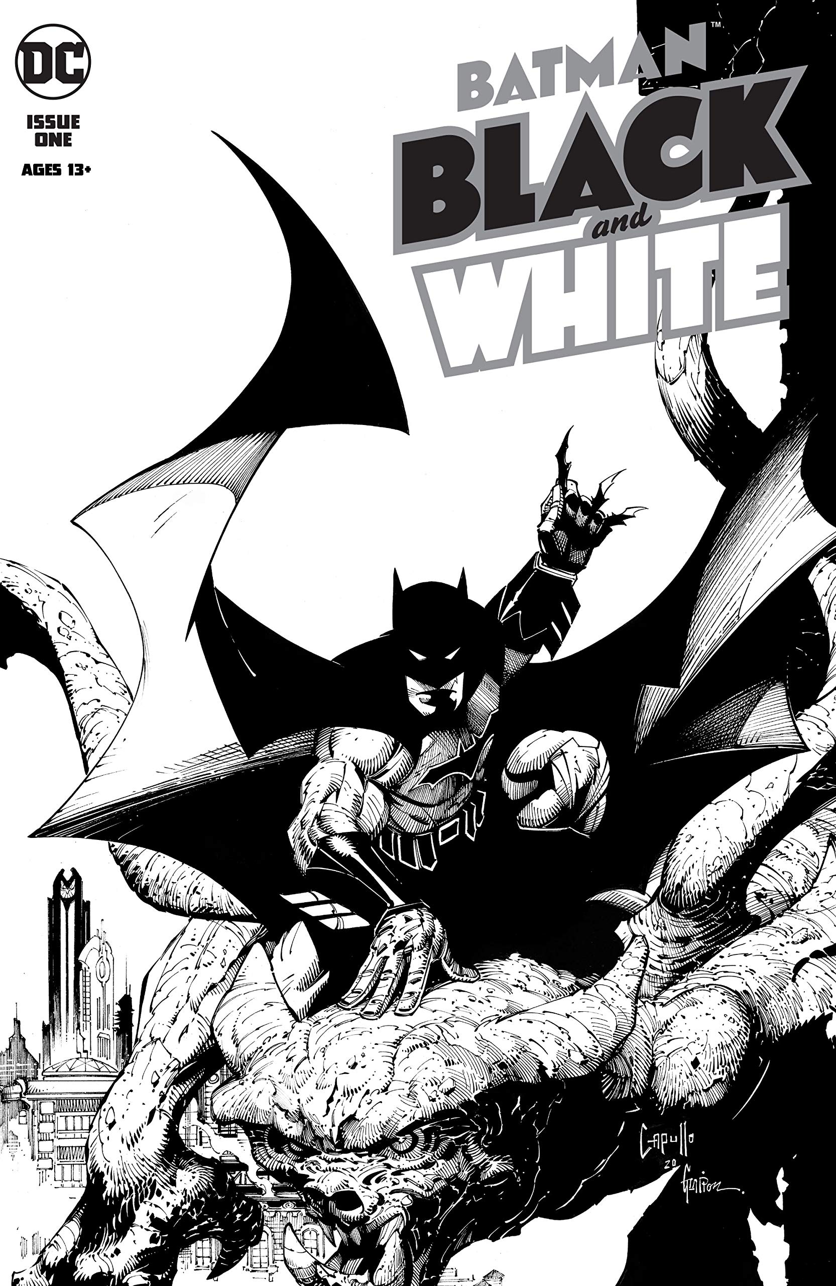 Batman book cover