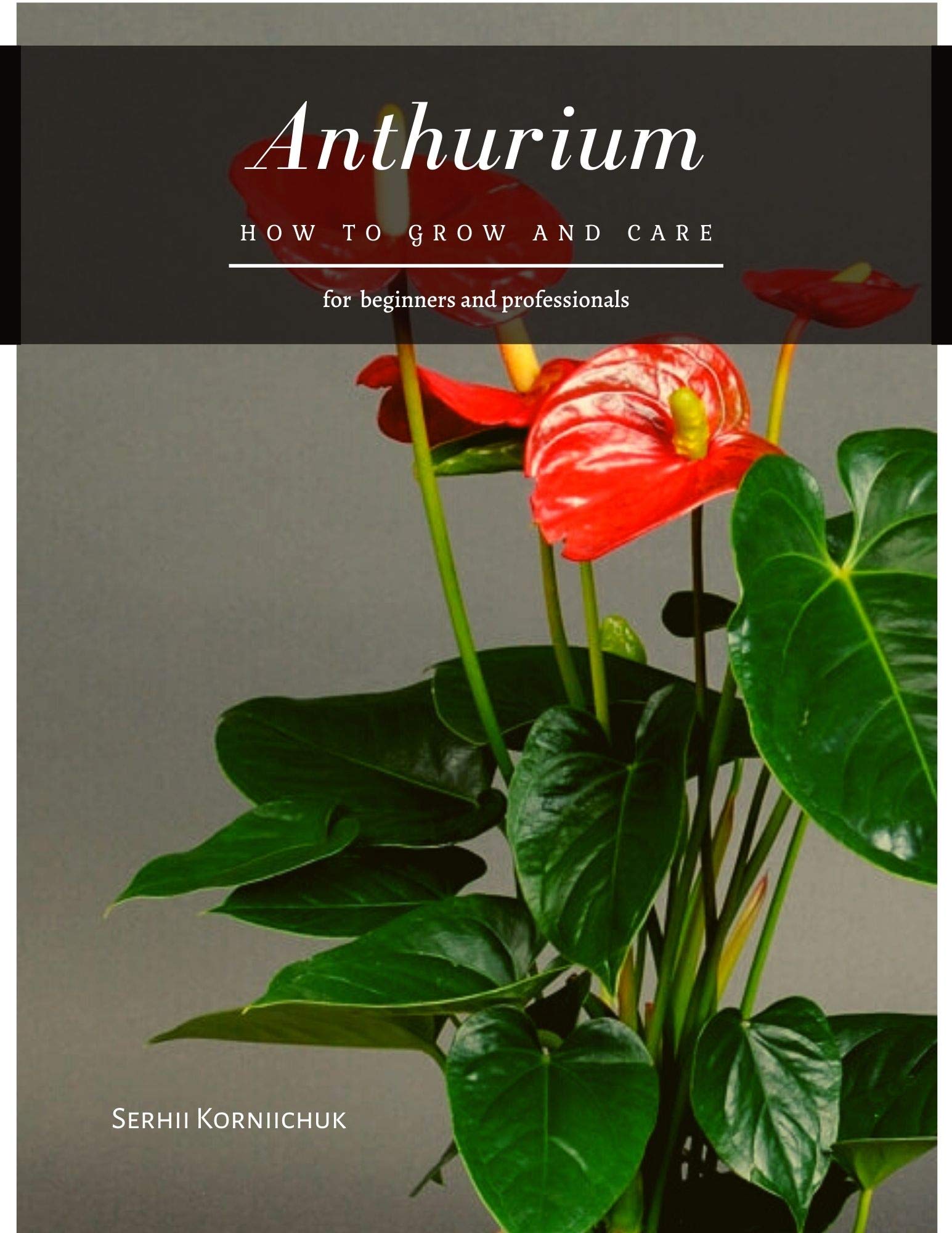 The Ultimate Anthurium Care Book: Grow Lush, Healthy Plants