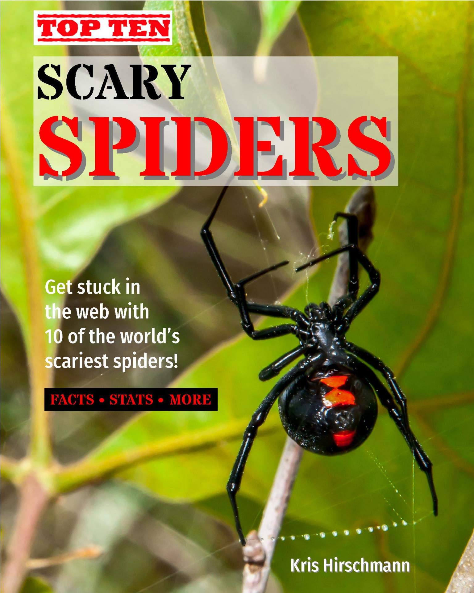 Top Ten Scary Spiders Get Stuck in the  with 10 of the World's
