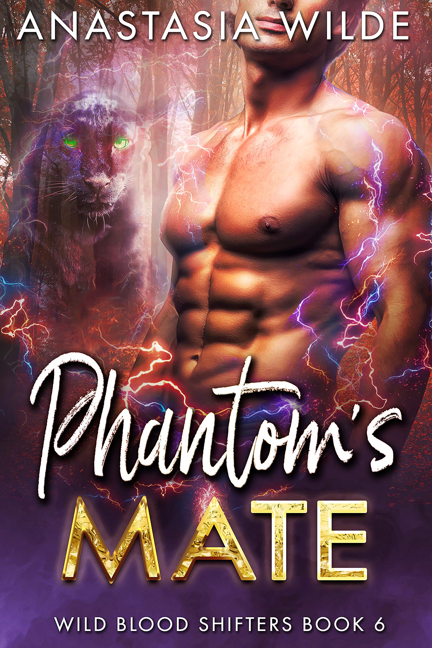 Phantom's Mate book cover