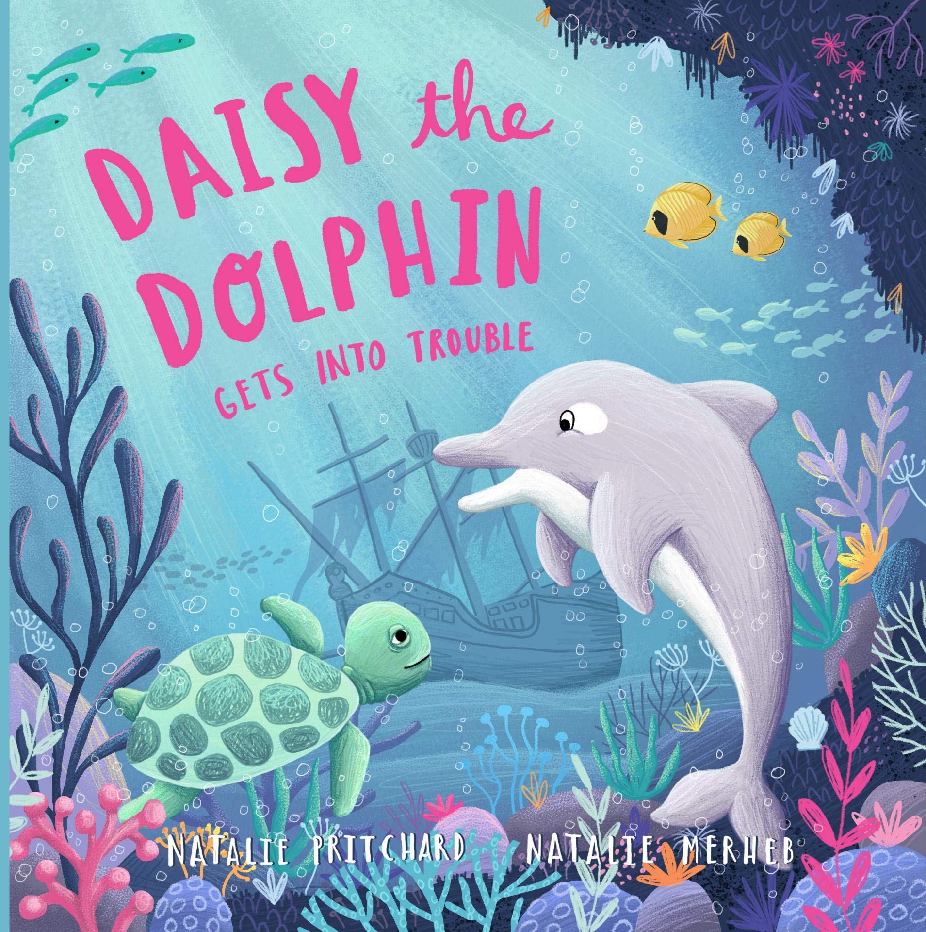 Daisy the Dolphin: A book about making good choices