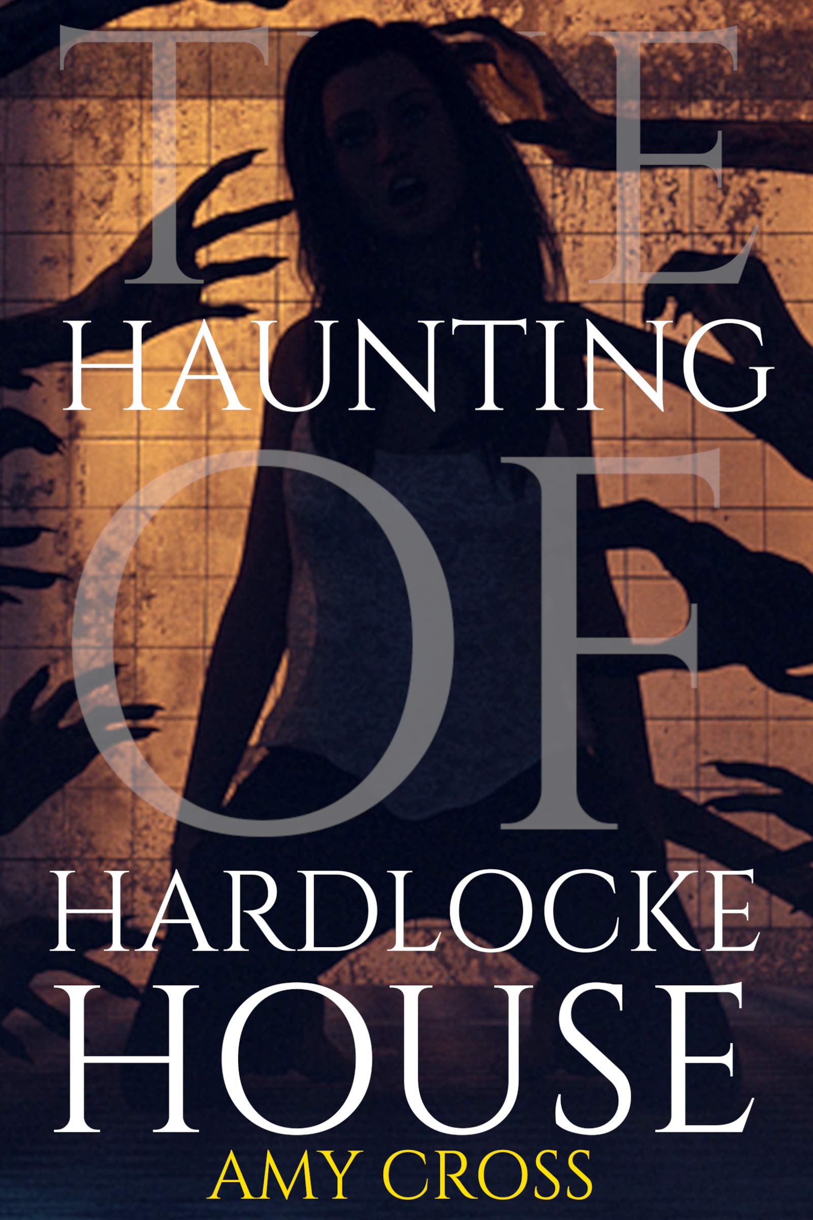 The Haunting of Hardlocke House book cover