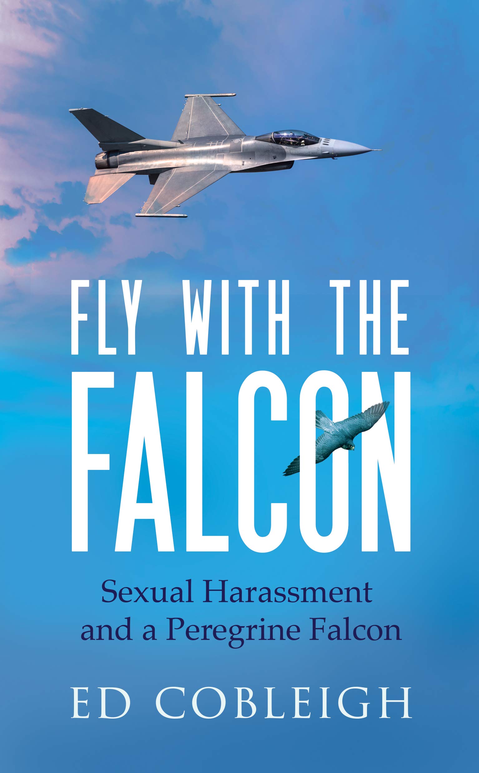 Fly with the Falcon: Love. Loss. Liberty.