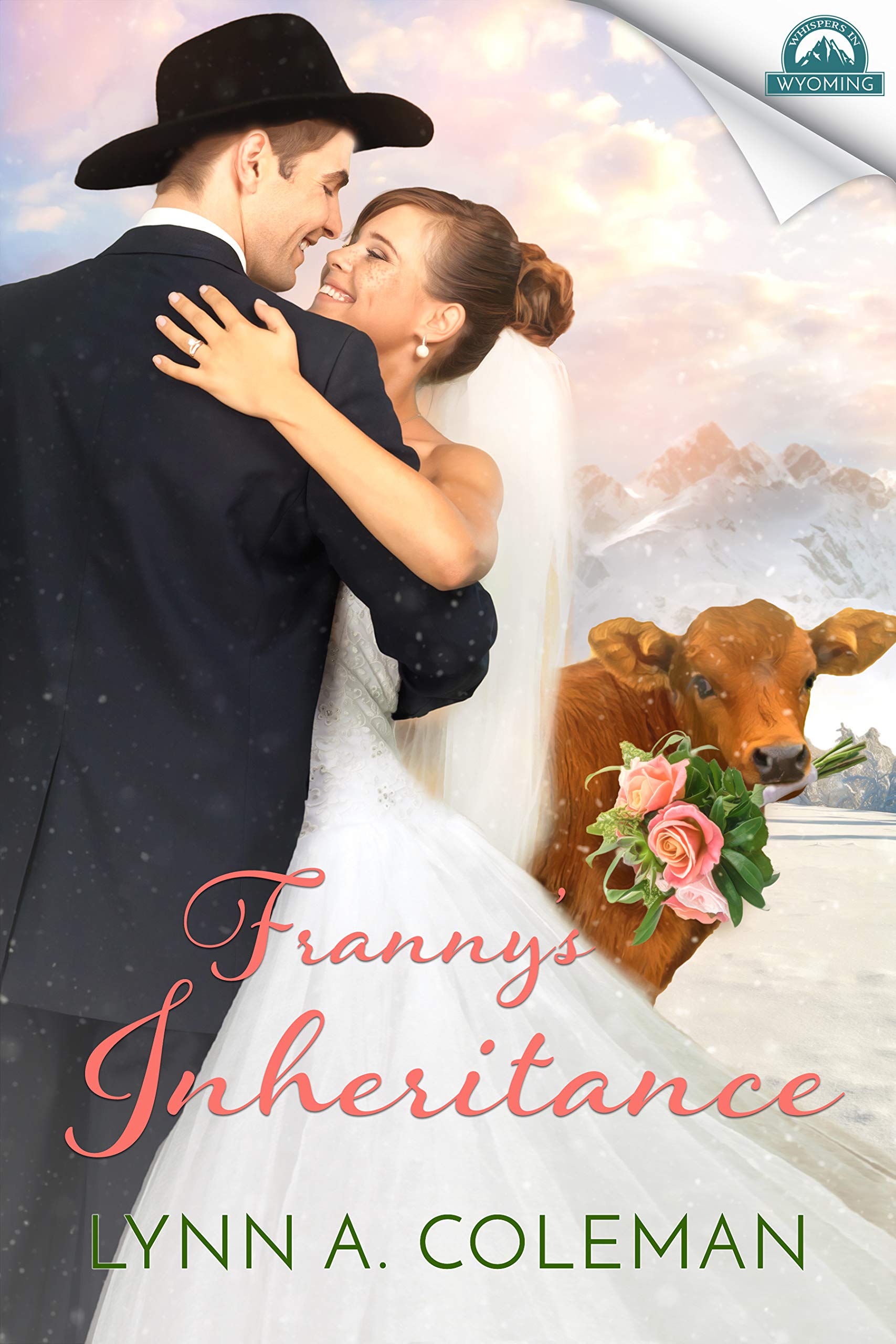 Franny's Inheritance book cover