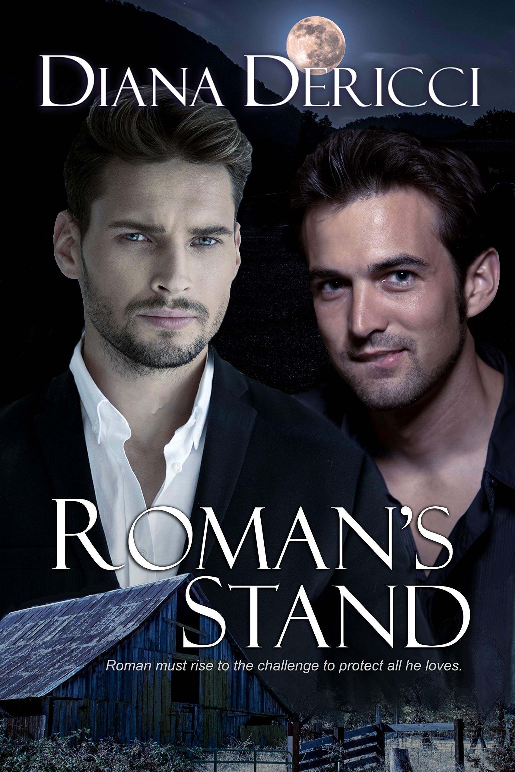 Roman's Stand book cover