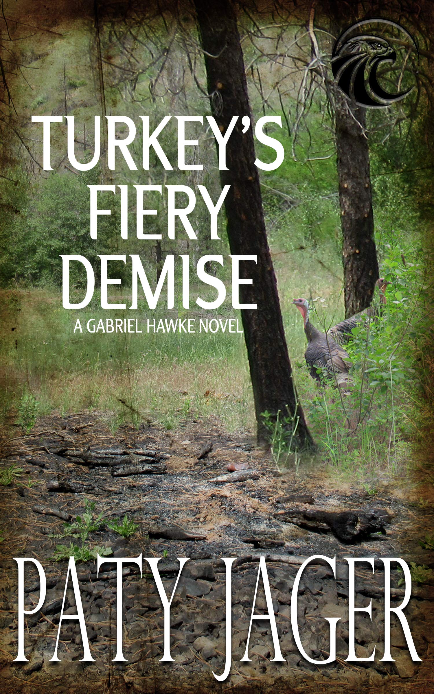 Turkey's Fiery Demise book cover