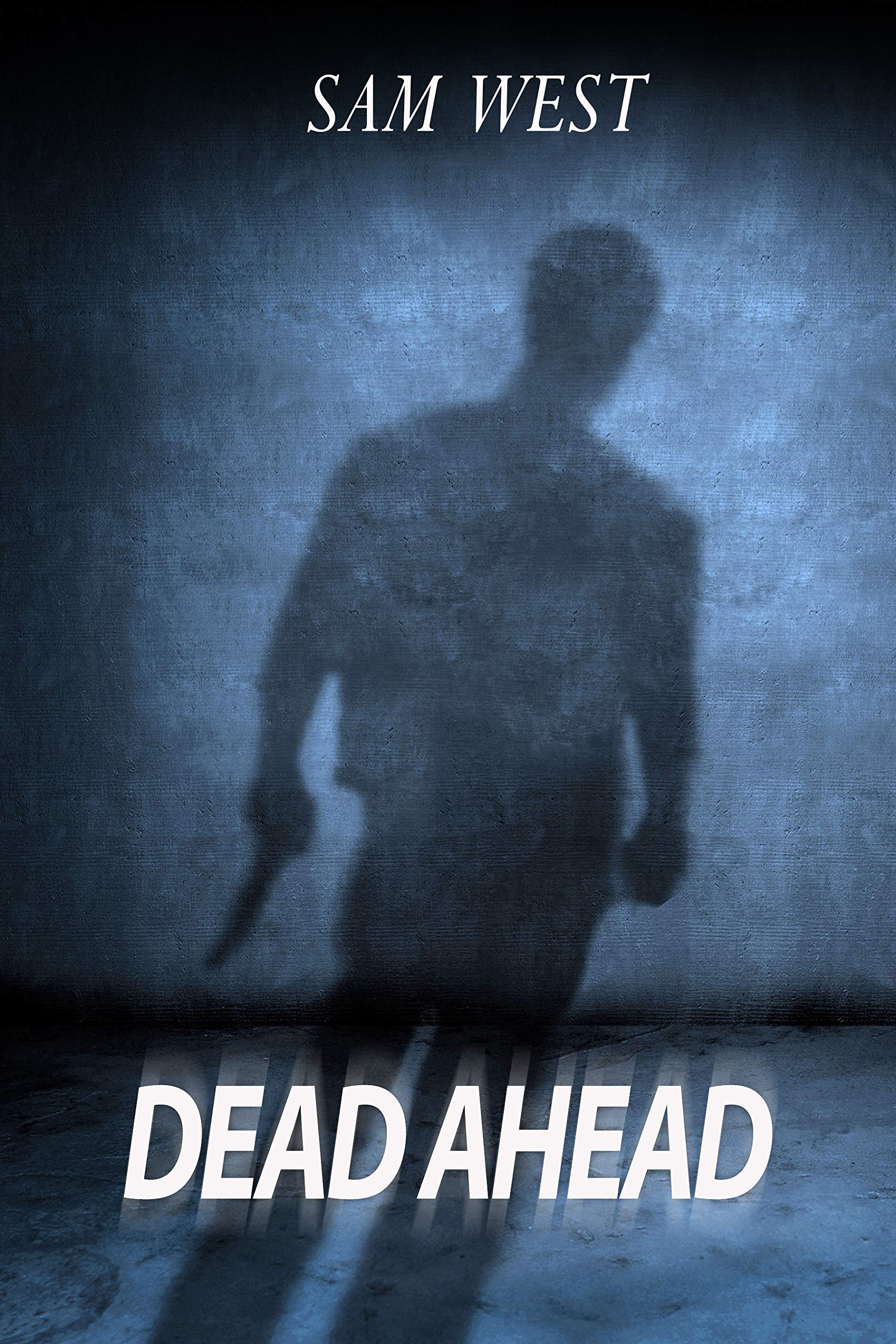 Dead Ahead book cover