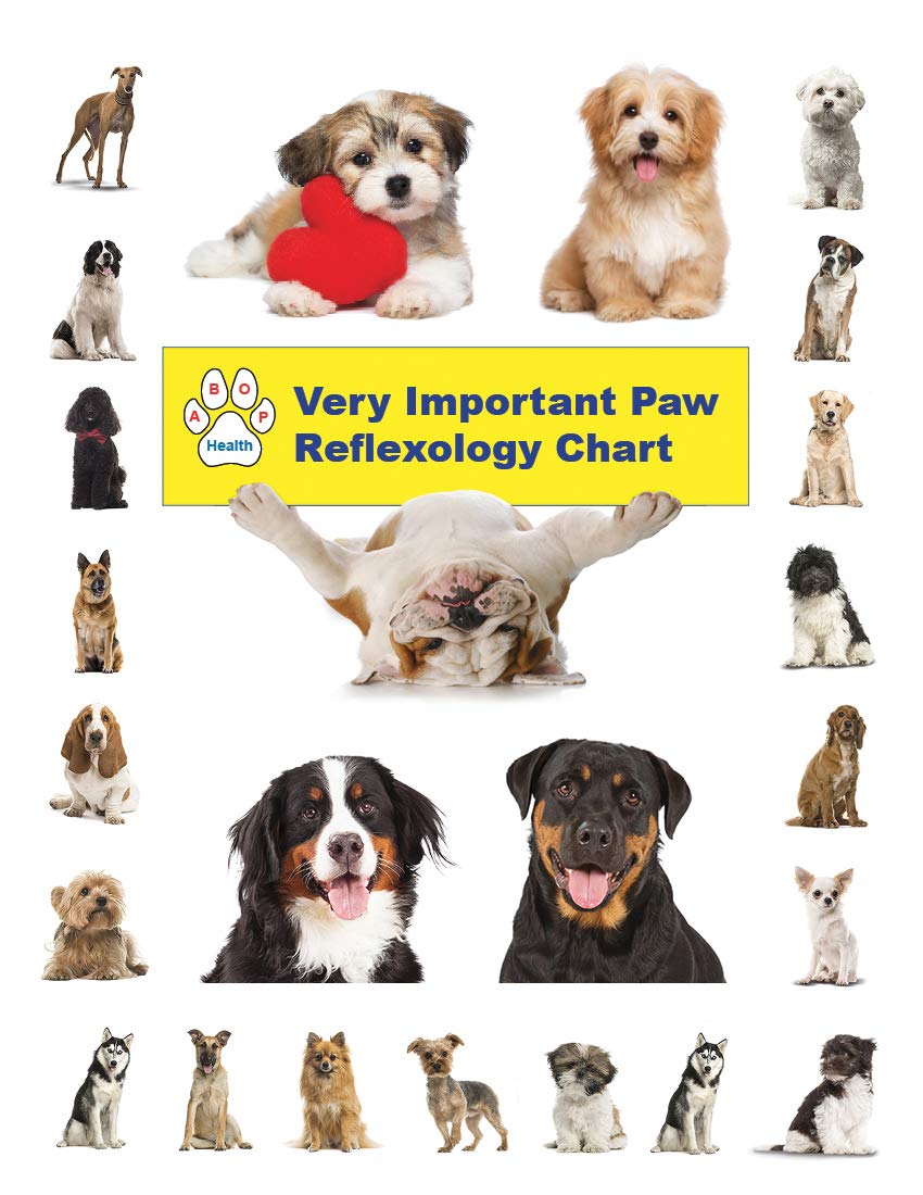 Very Important Paw Reflexology Chart by Darrell A. Smith Goodreads
