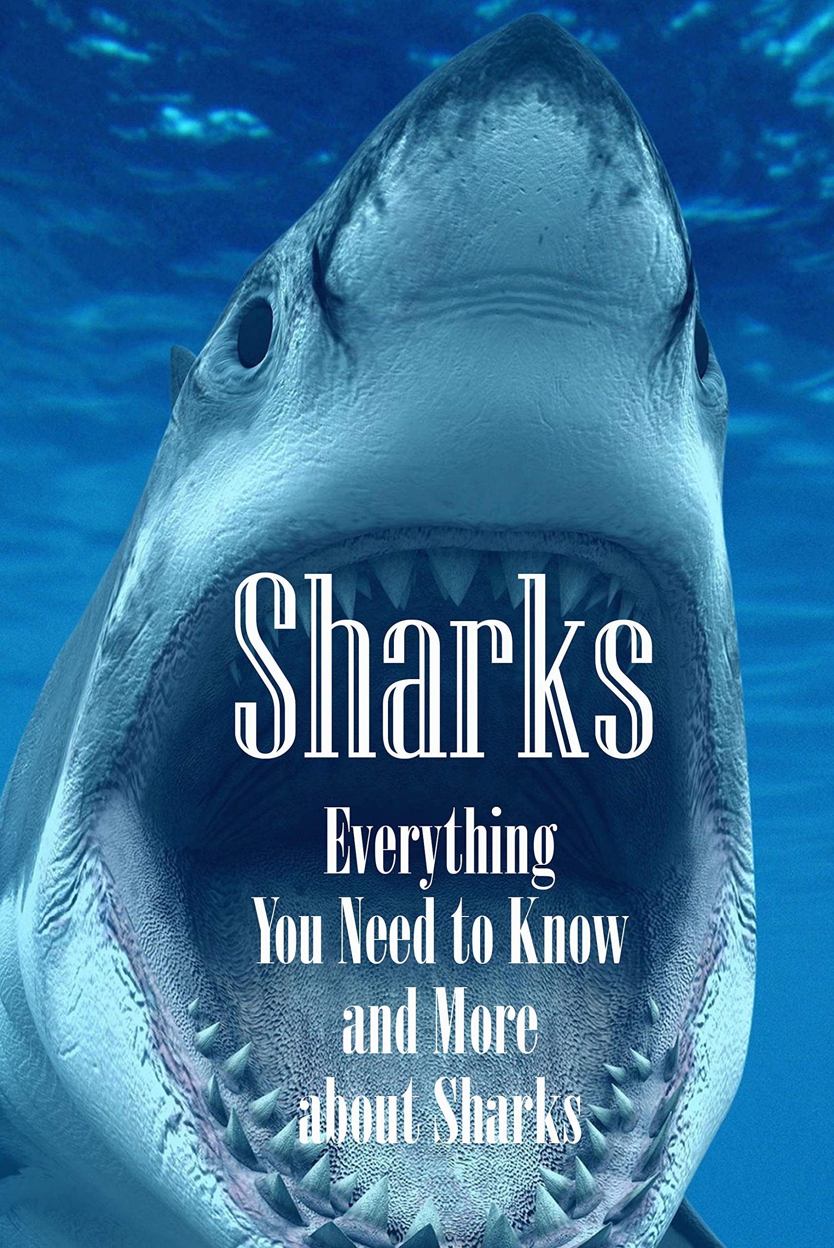 Everything You Need To Know About The Sharkbae Leak - xmryywe