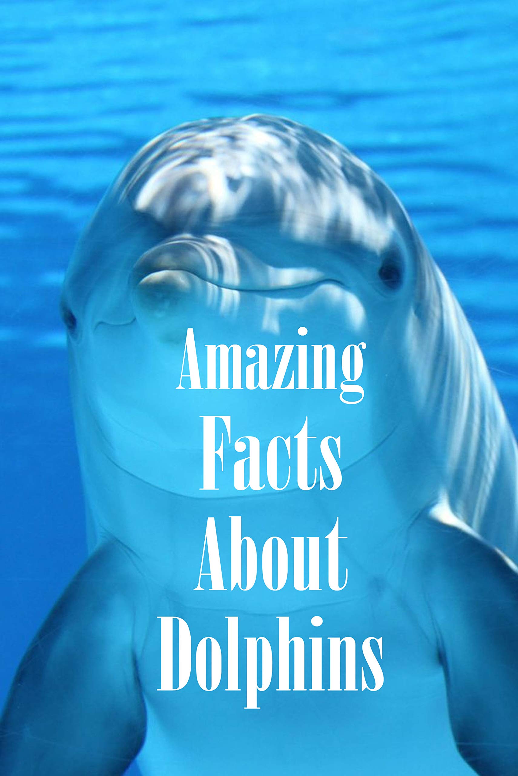 Amazing Facts About Dolphins: Dolphins Book, Gift at Christmas by ...