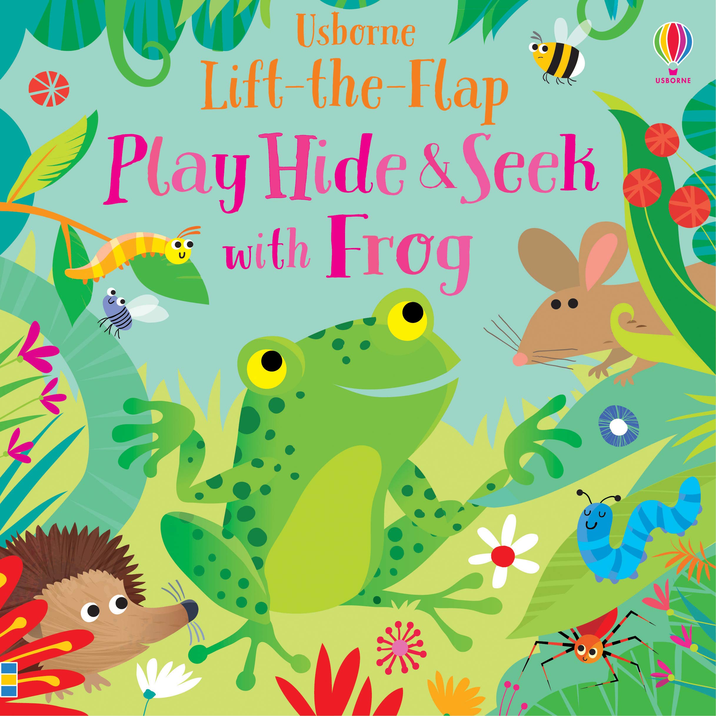 Play Hide and Seek with Frog book cover