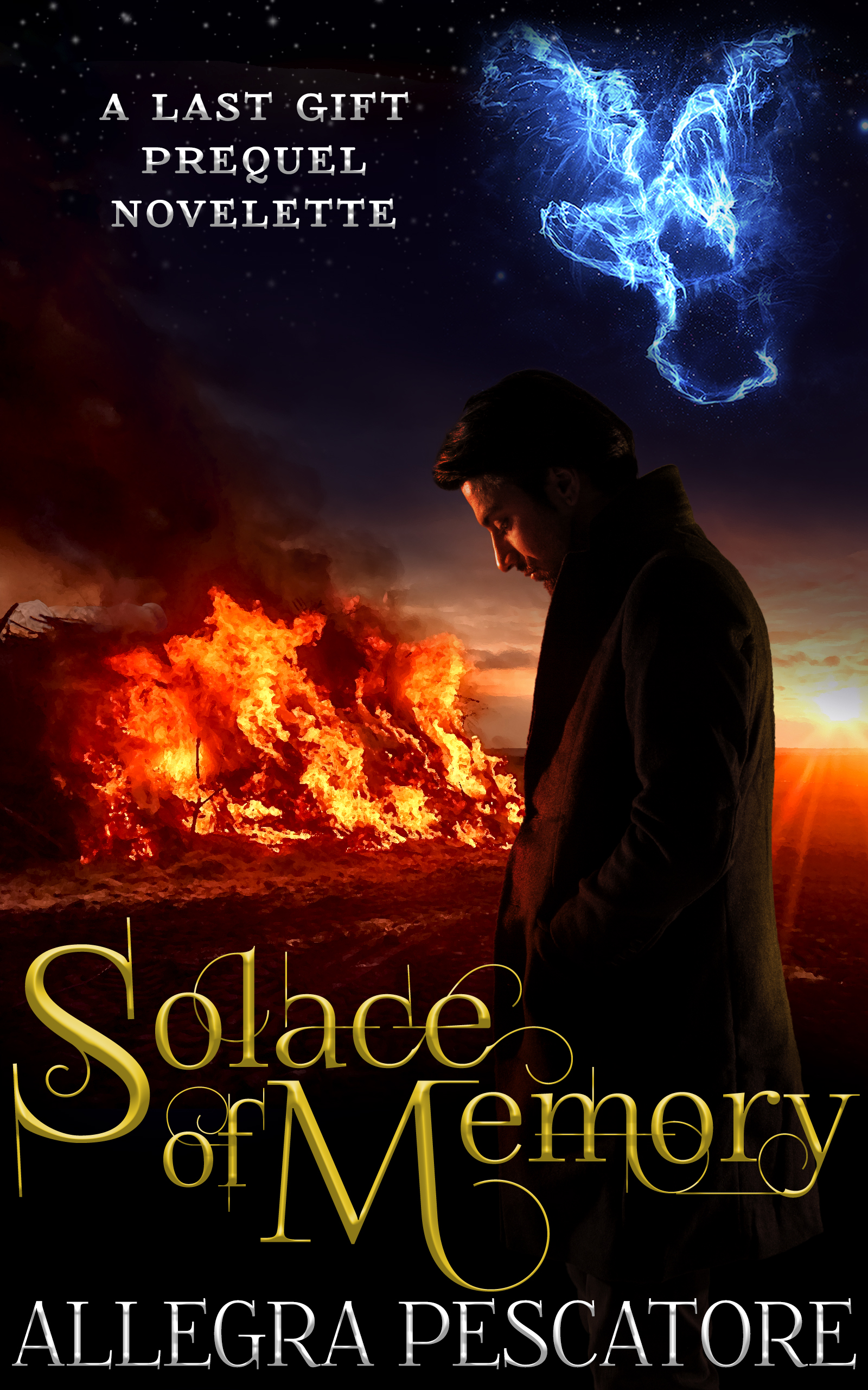 Solace of Memory book cover