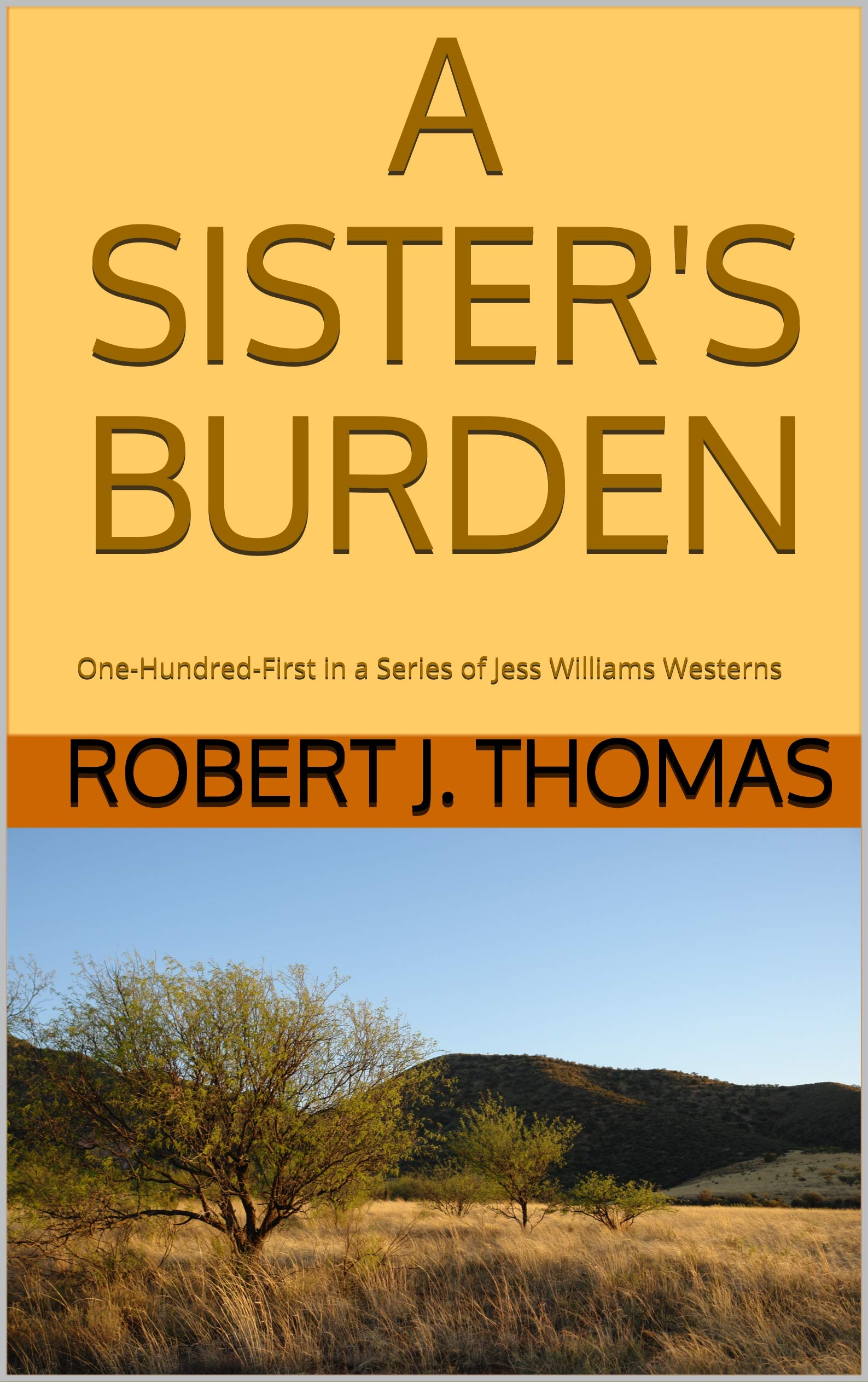 A Sister's Burden book cover