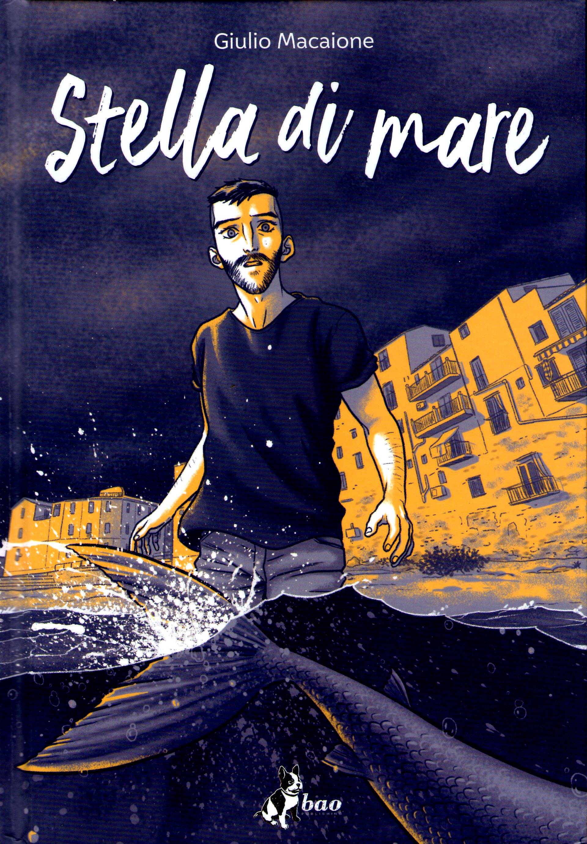 Stella di mare book cover
