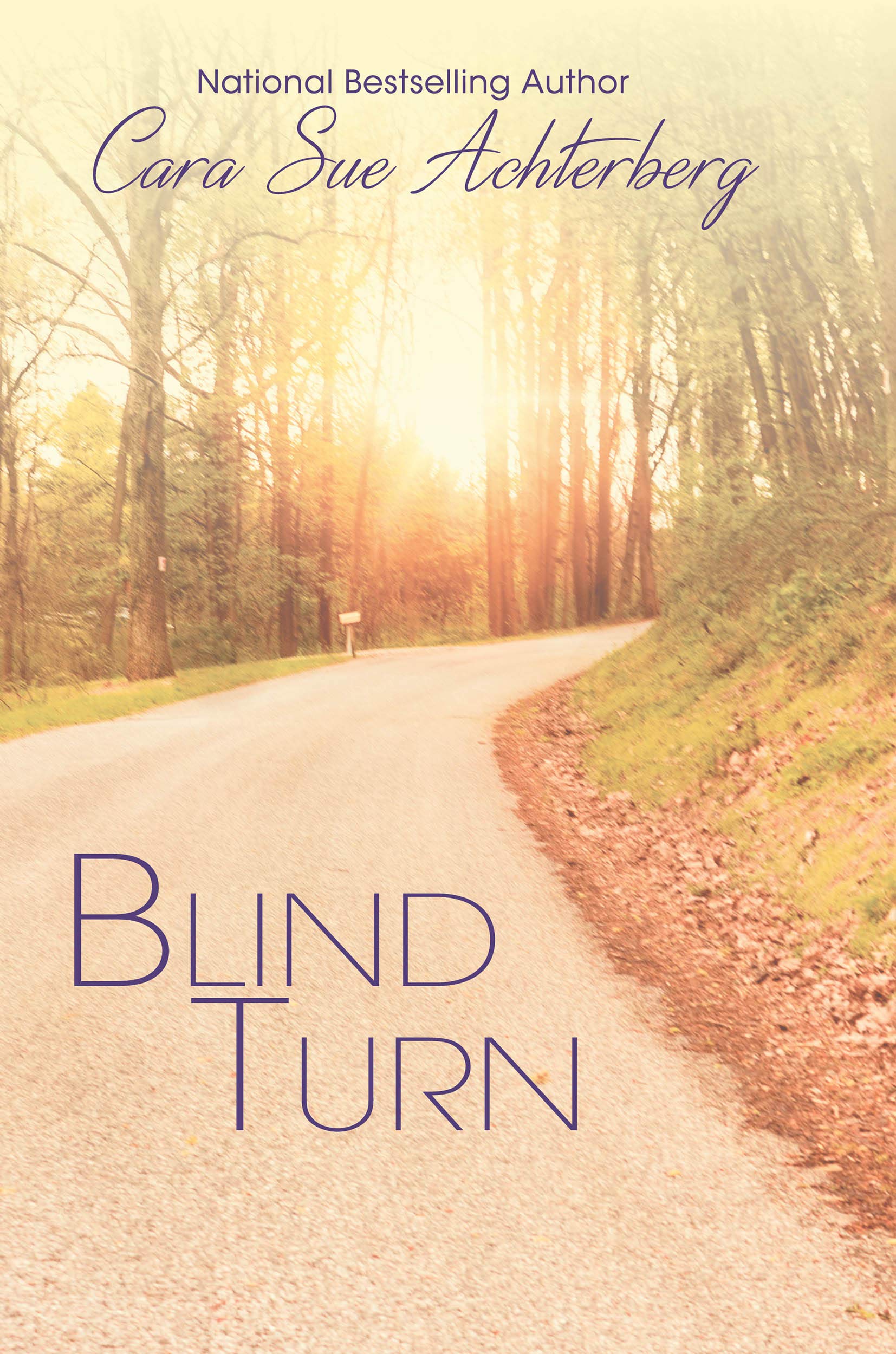 Blind Turn book cover