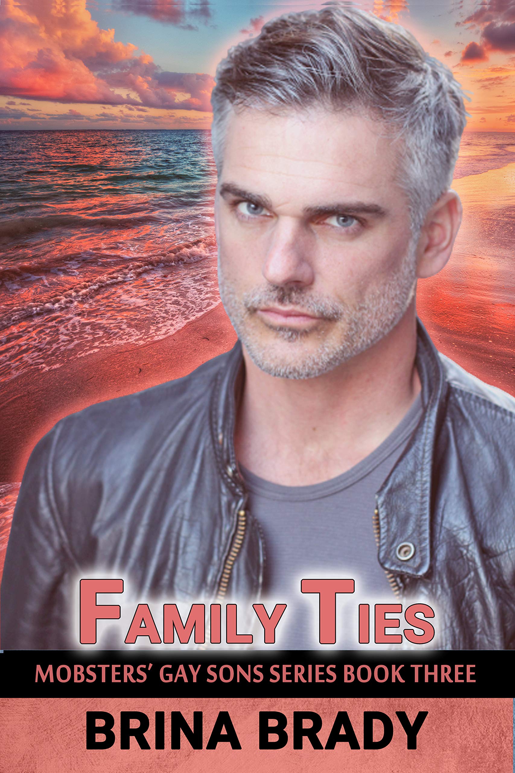 Family Ties book cover