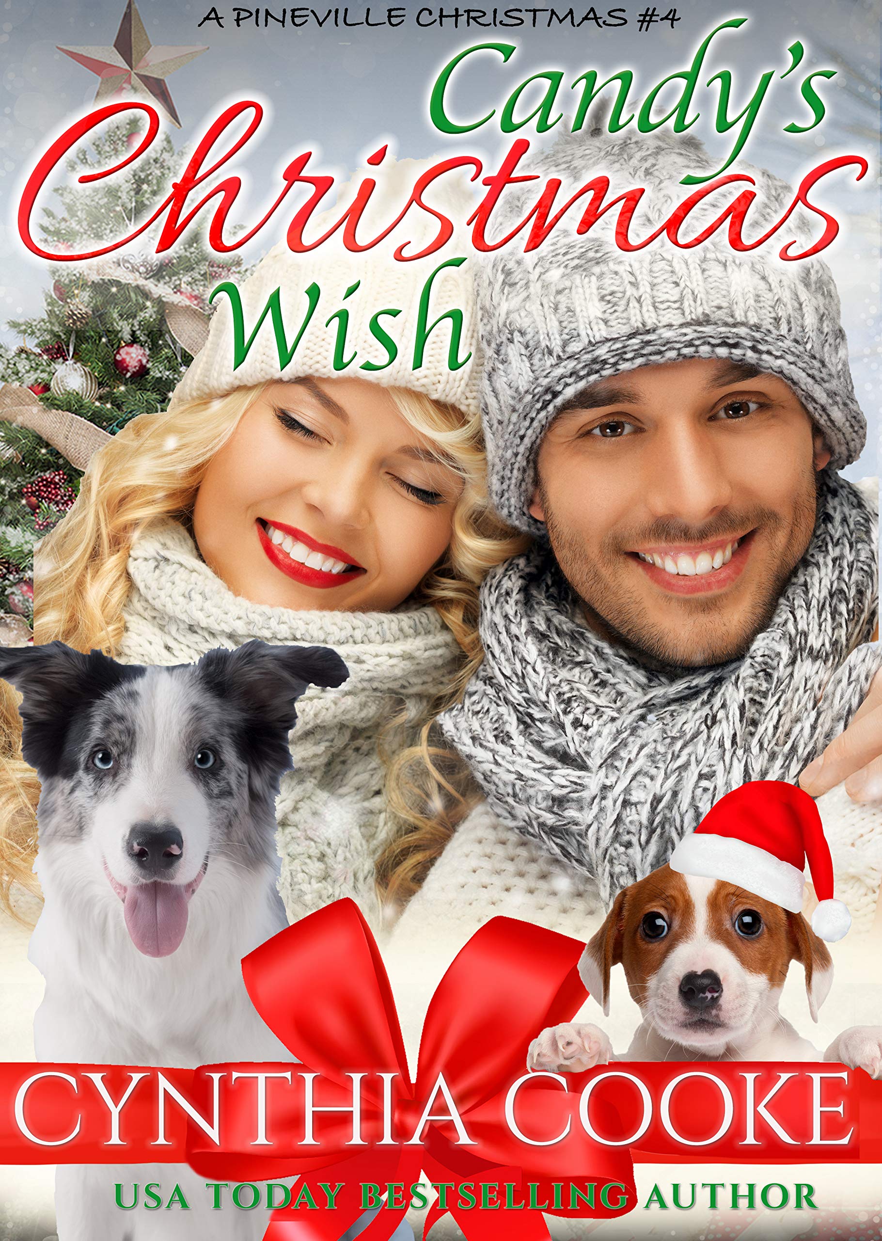 Candy's Christmas Wish