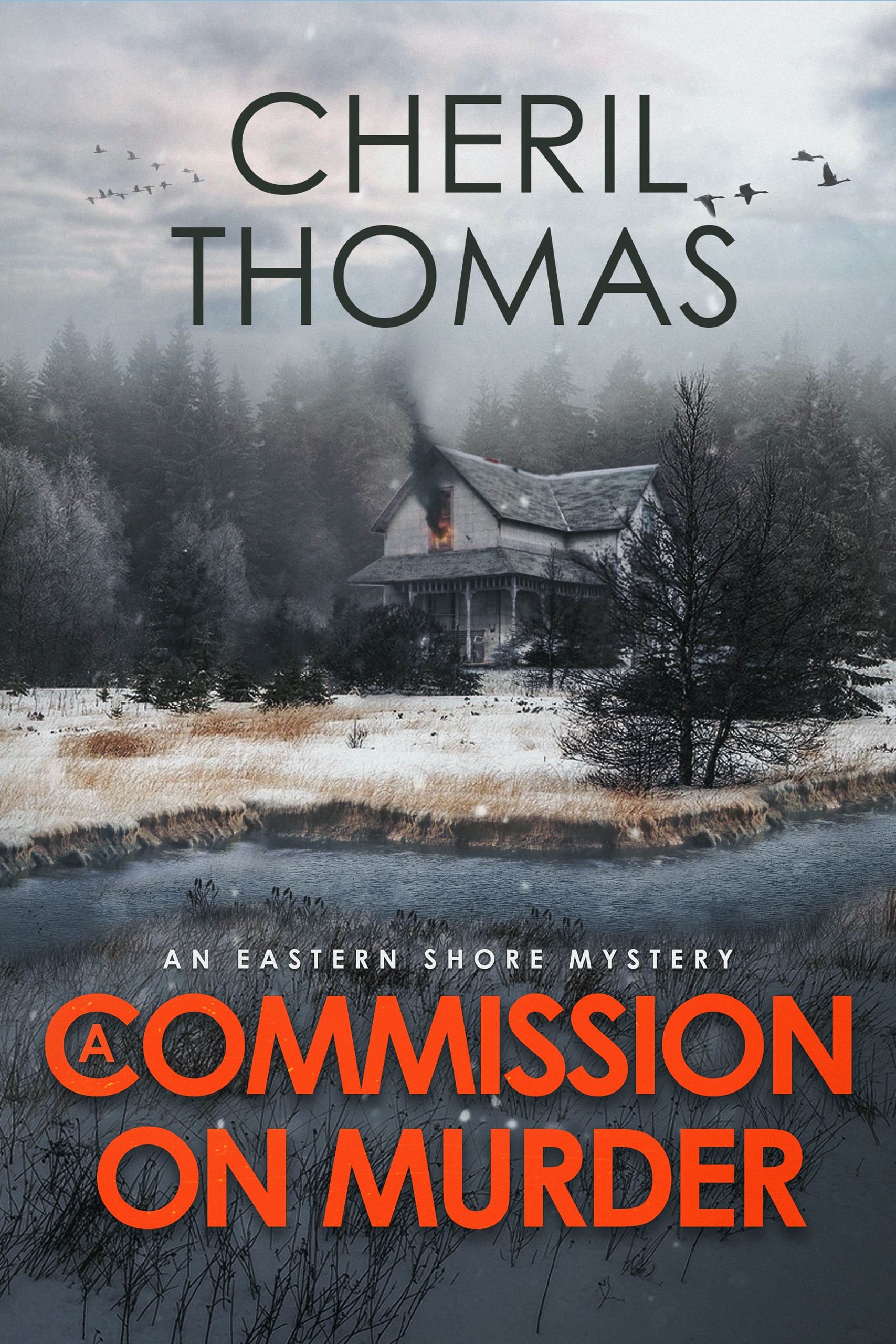 A Commission on Murder