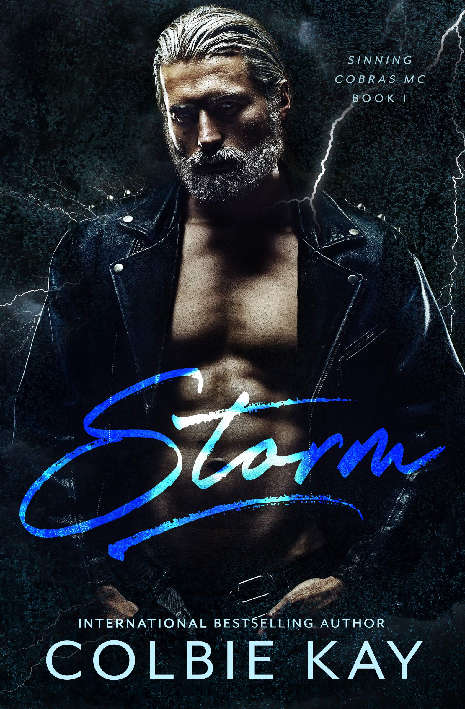 Storm book cover