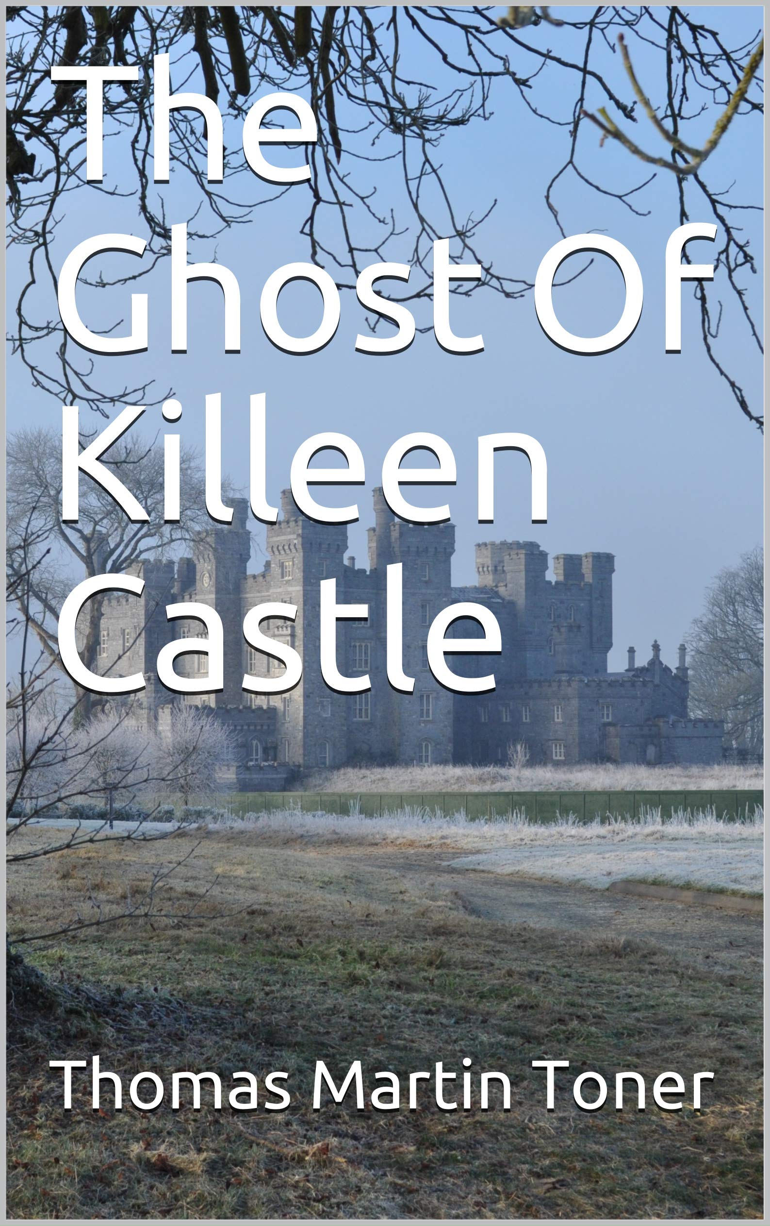 The Ghost Of Killeen Castle by Thomas Martin Toner Goodreads