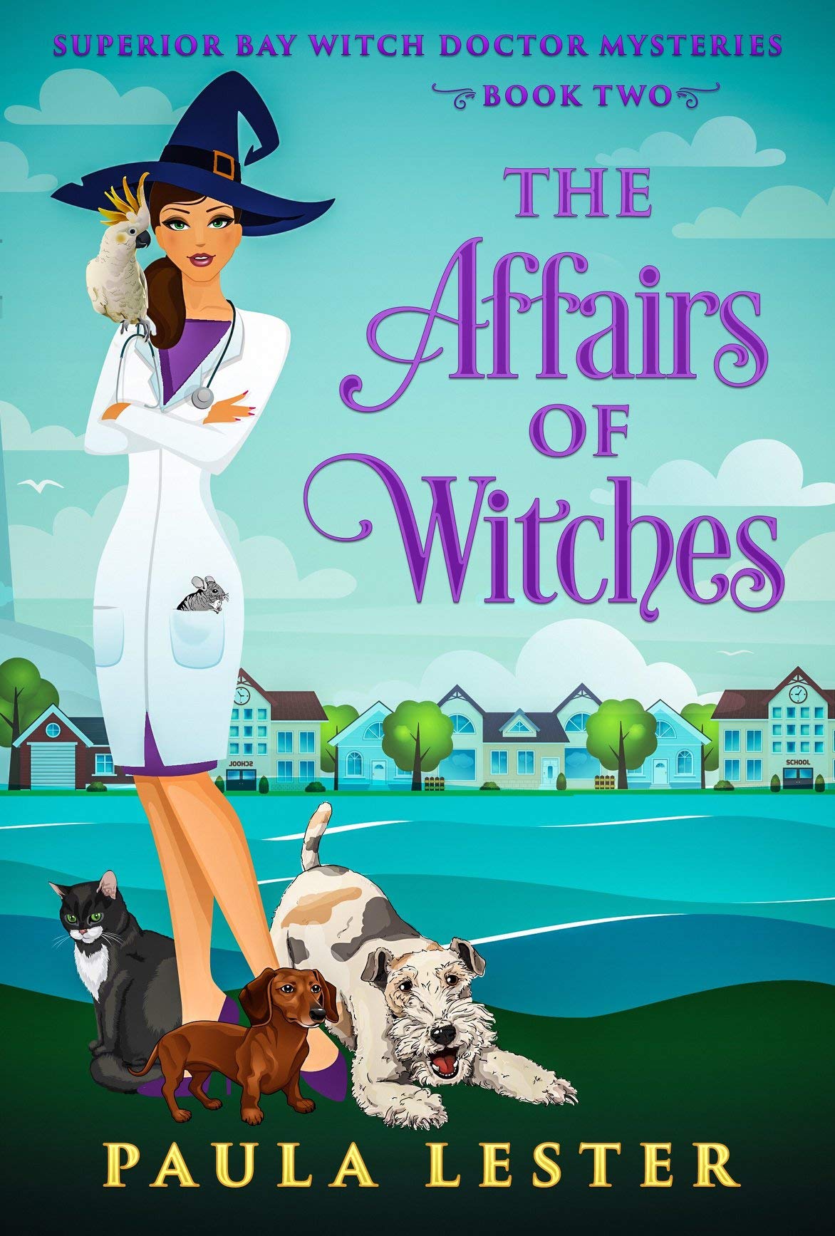 The Affairs of Witches book cover