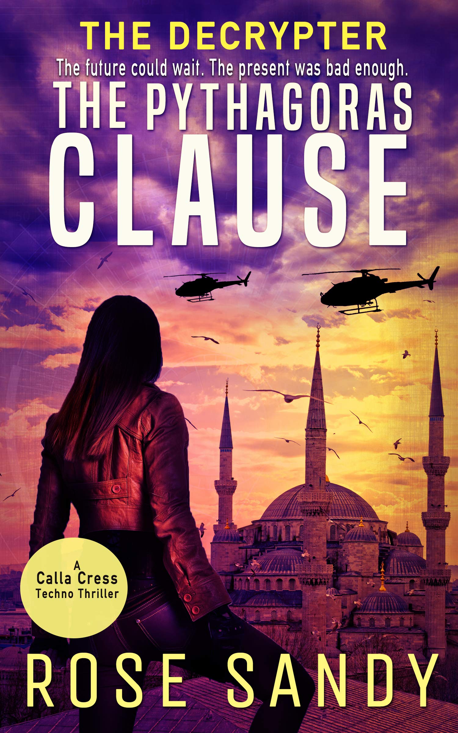 The Decrypter and The Pythagoras Clause by Rose Sandy | Goodreads