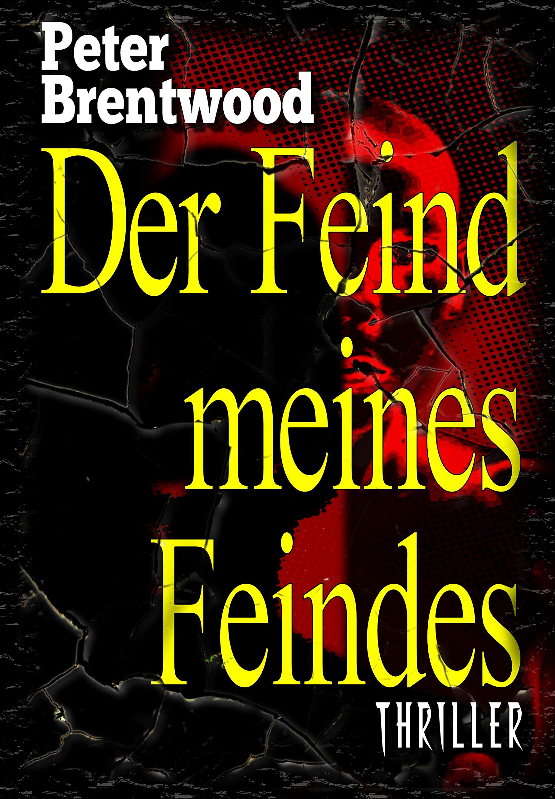 Ein Grimmiger Feind Ein Treuer Freund Buch Der Feind meines Feindes (Georgina-May-Reihe 4) by Peter Brentwood