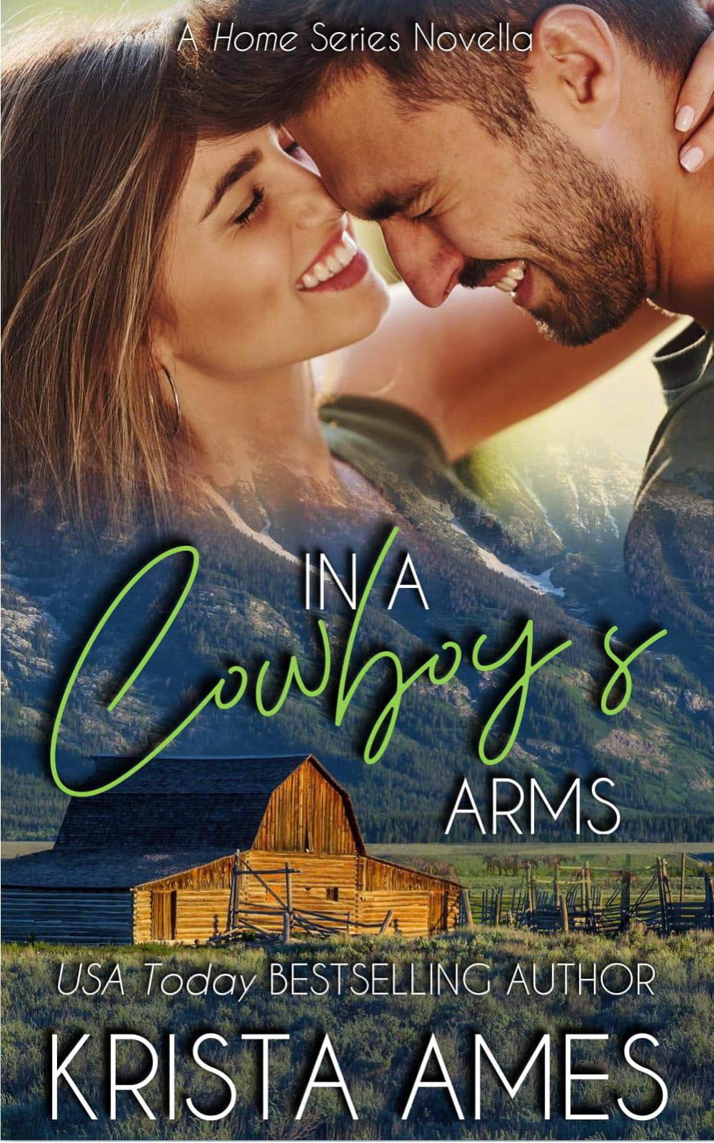 In a Cowboy's Arms book cover