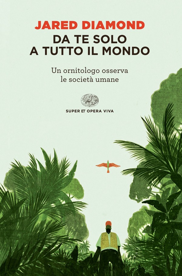 Da te solo a tutto il mondo book cover