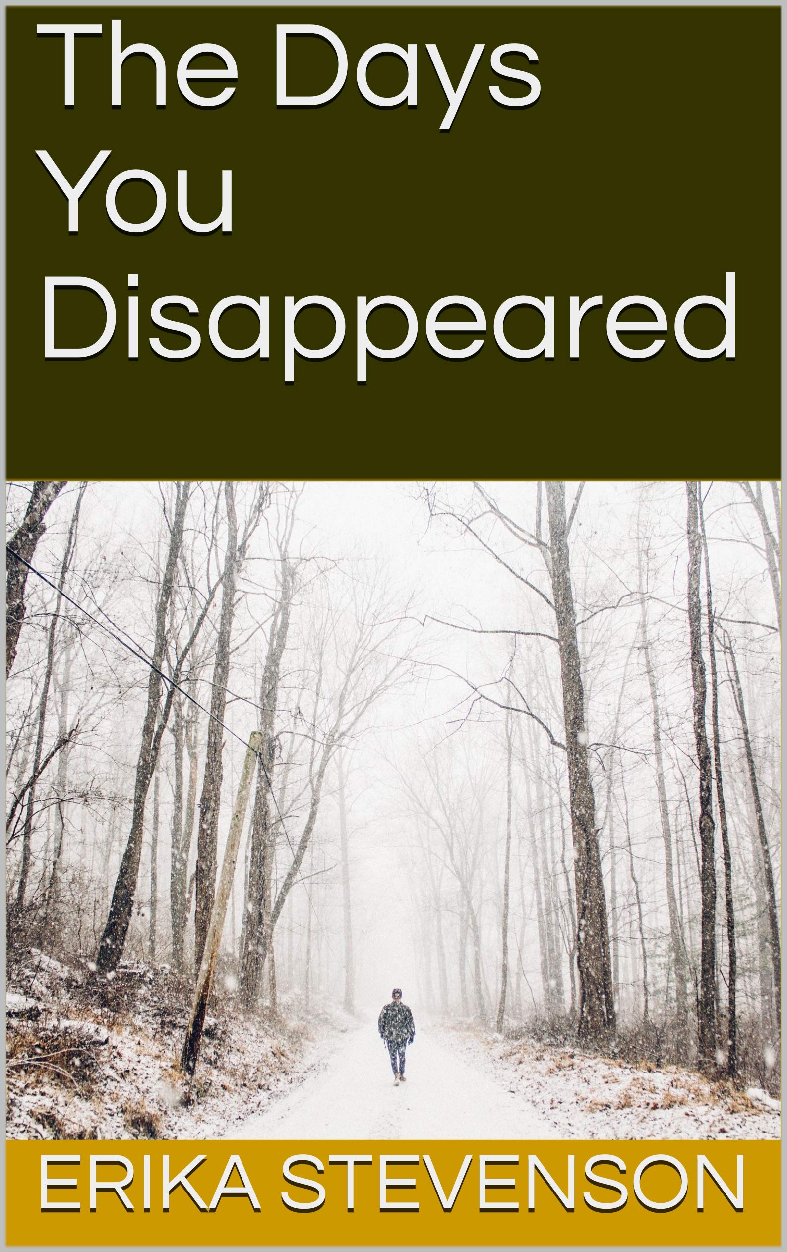 The Days You Disappeared by Erika Stevenson Goodreads