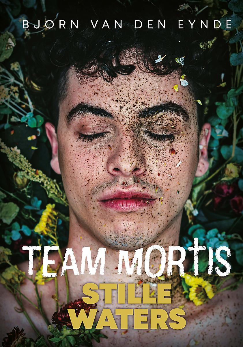 Stille Waters book cover