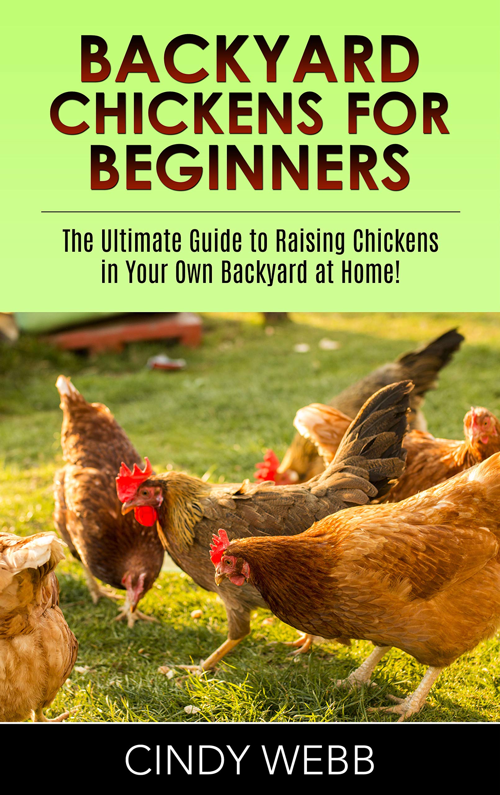 Backyard Chickens For Beginners The Ultimate Guide To Raising Chickens