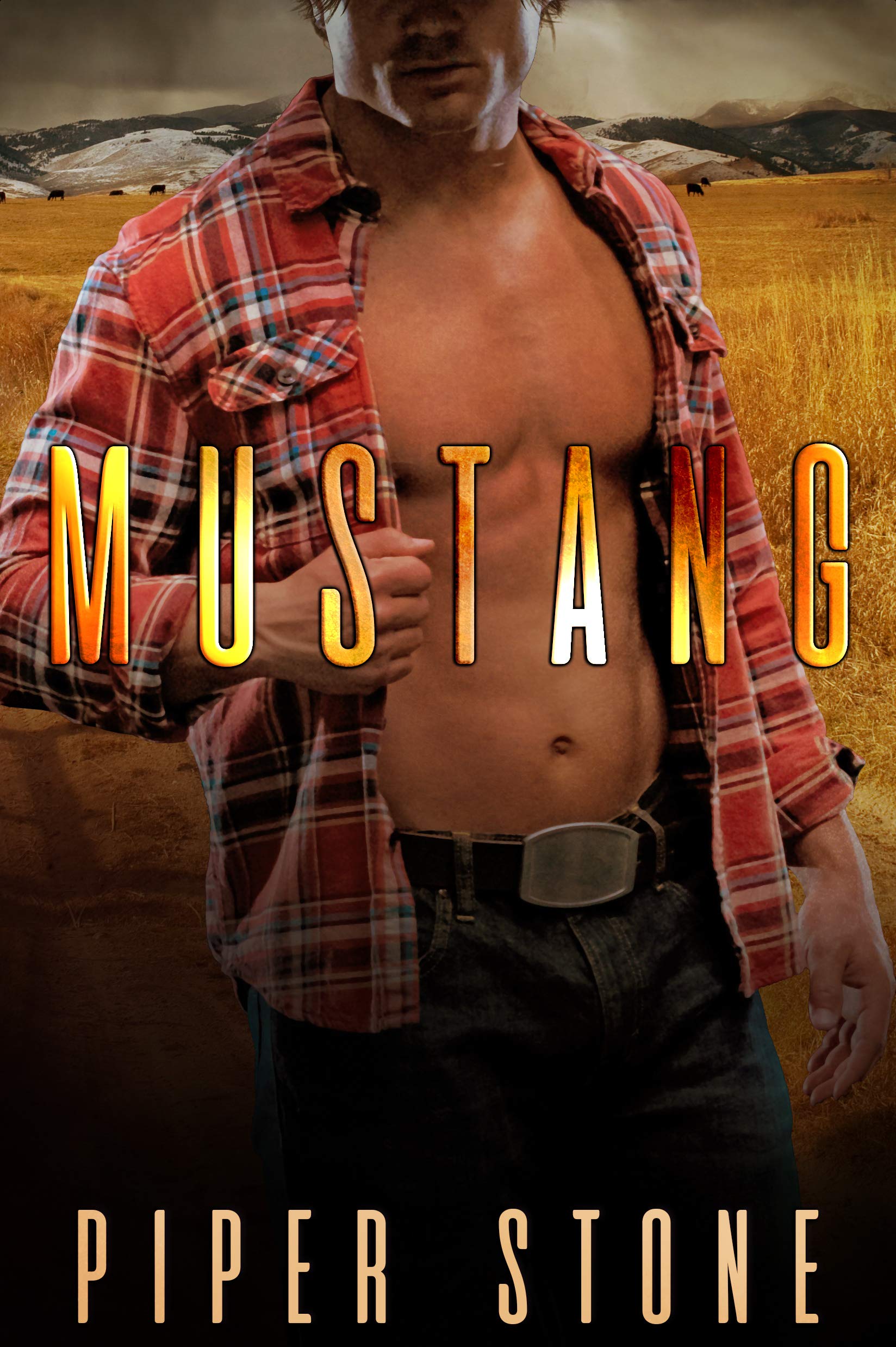 Mustang book cover