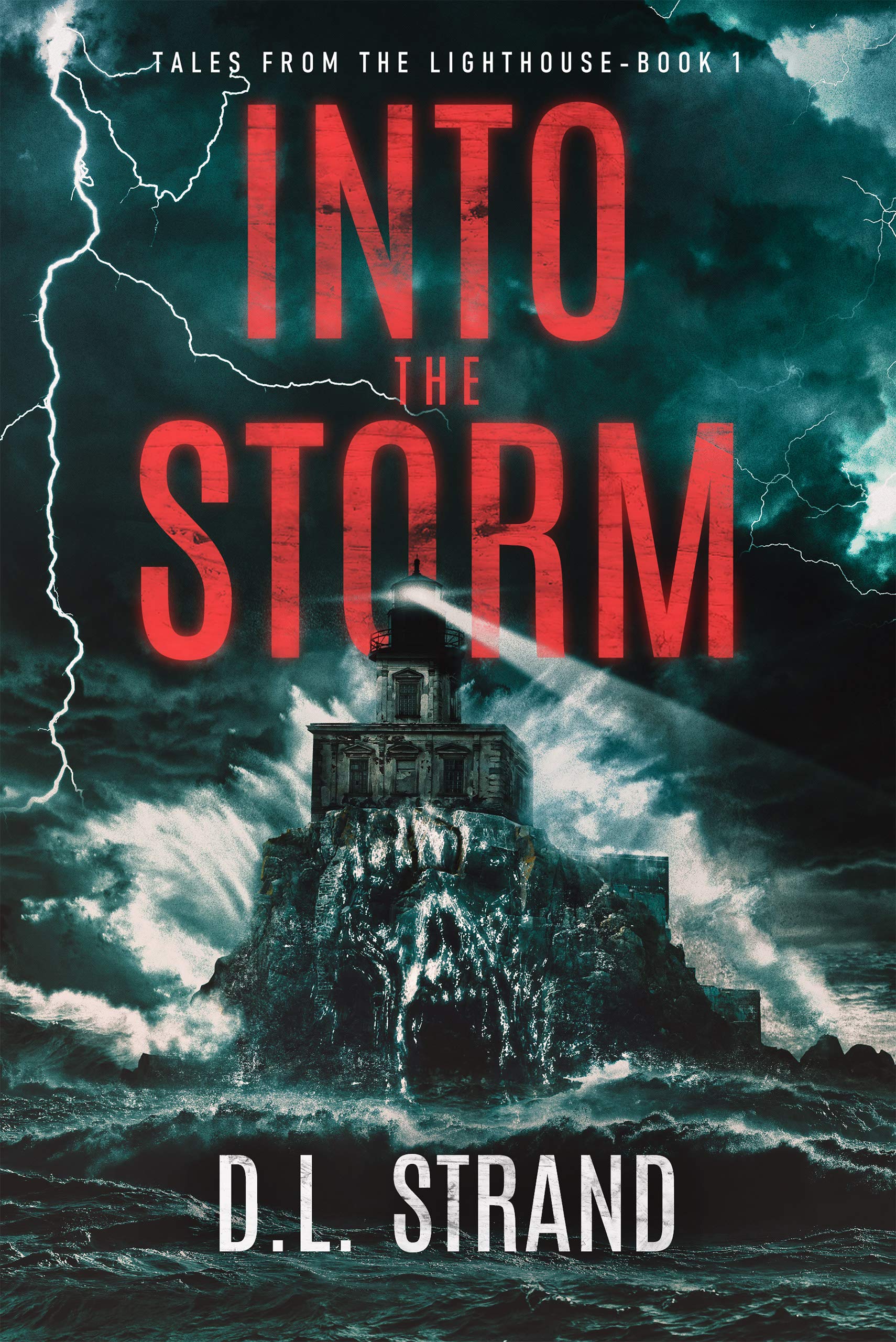 Into the Storm : Book 1