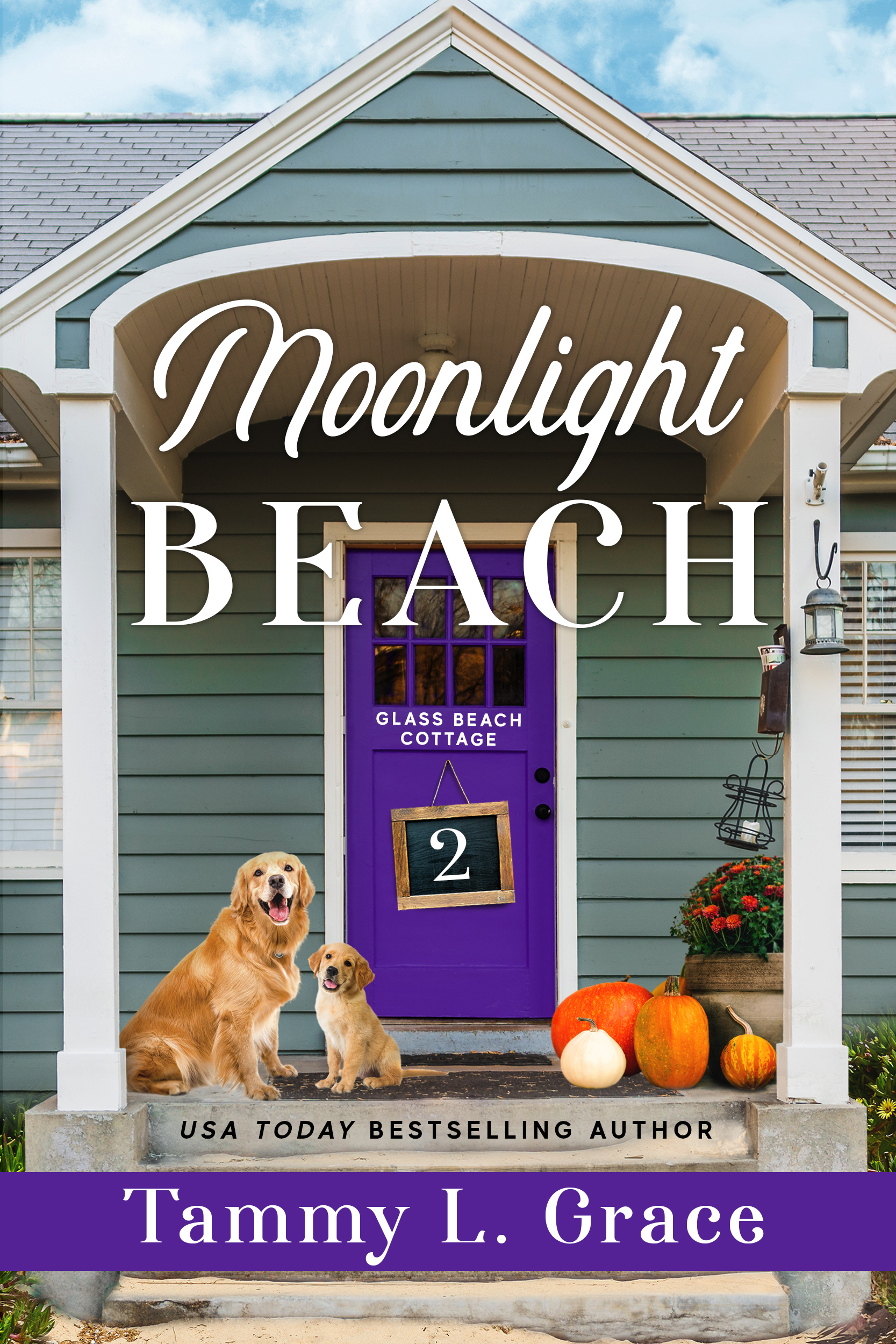 Moonlight Beach book cover