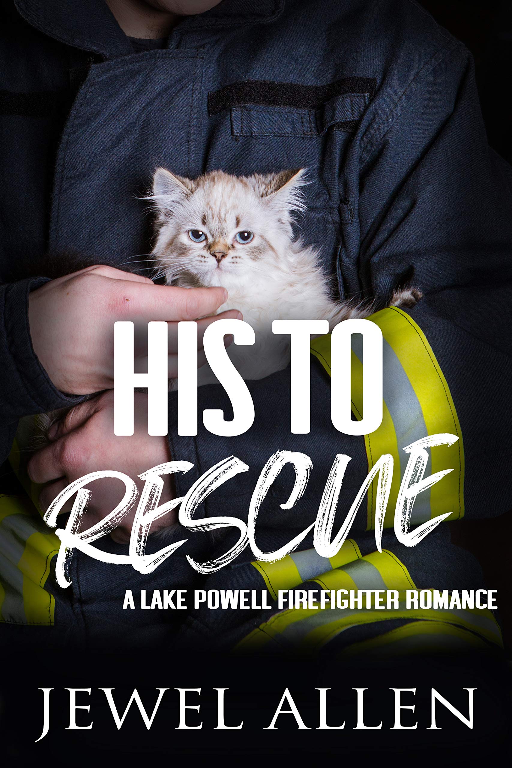 His to Rescue book cover