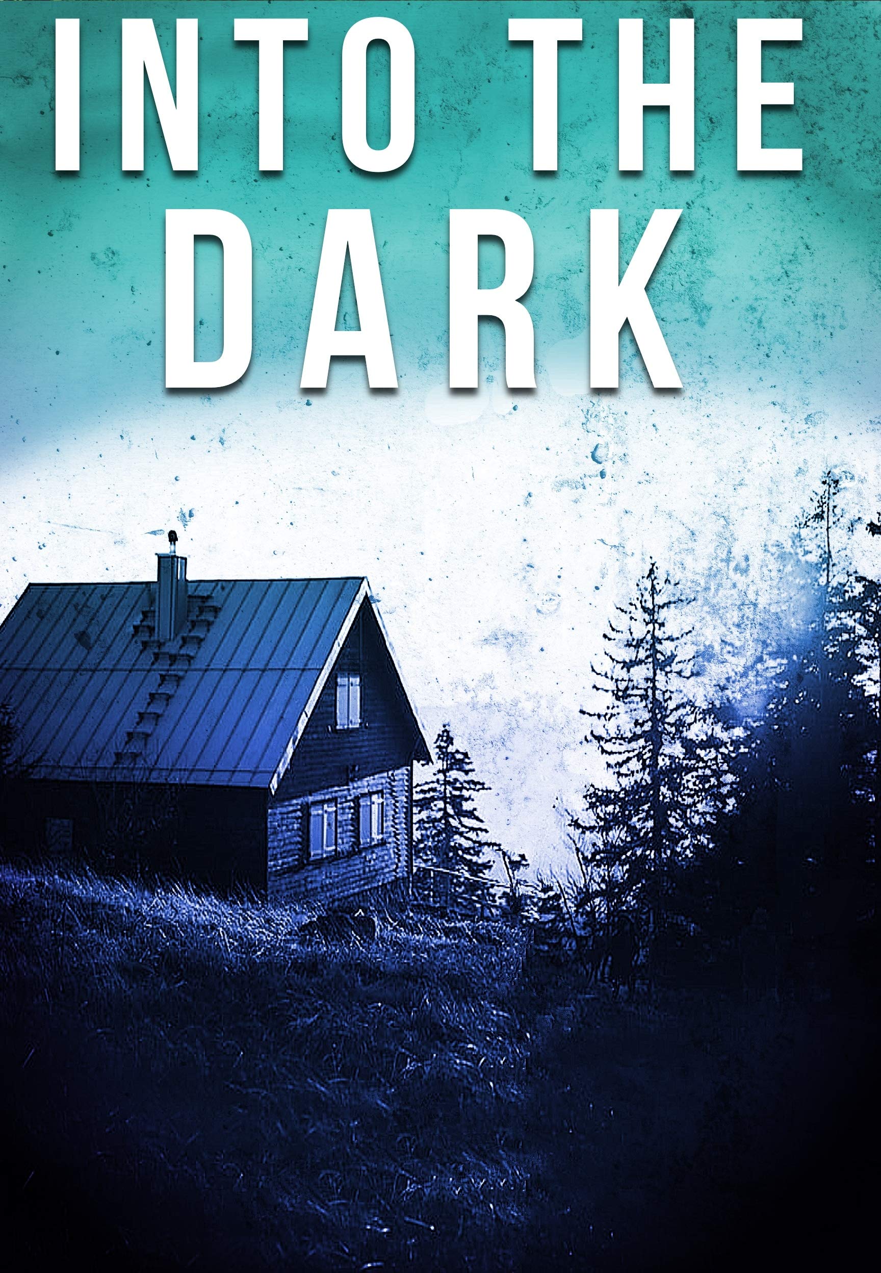Into The Dark book cover