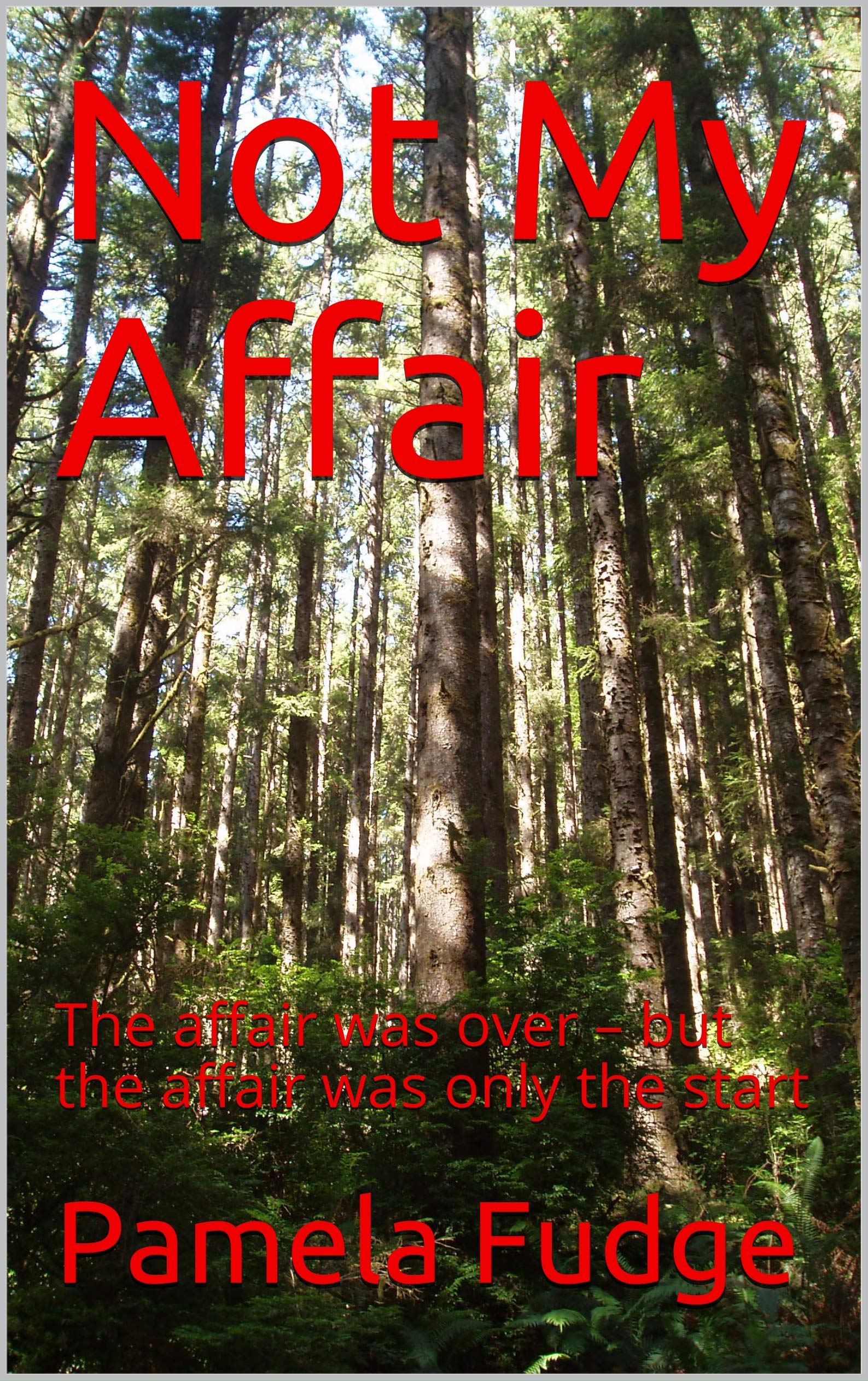 Not My Affair The affair was over but the affair was only the start