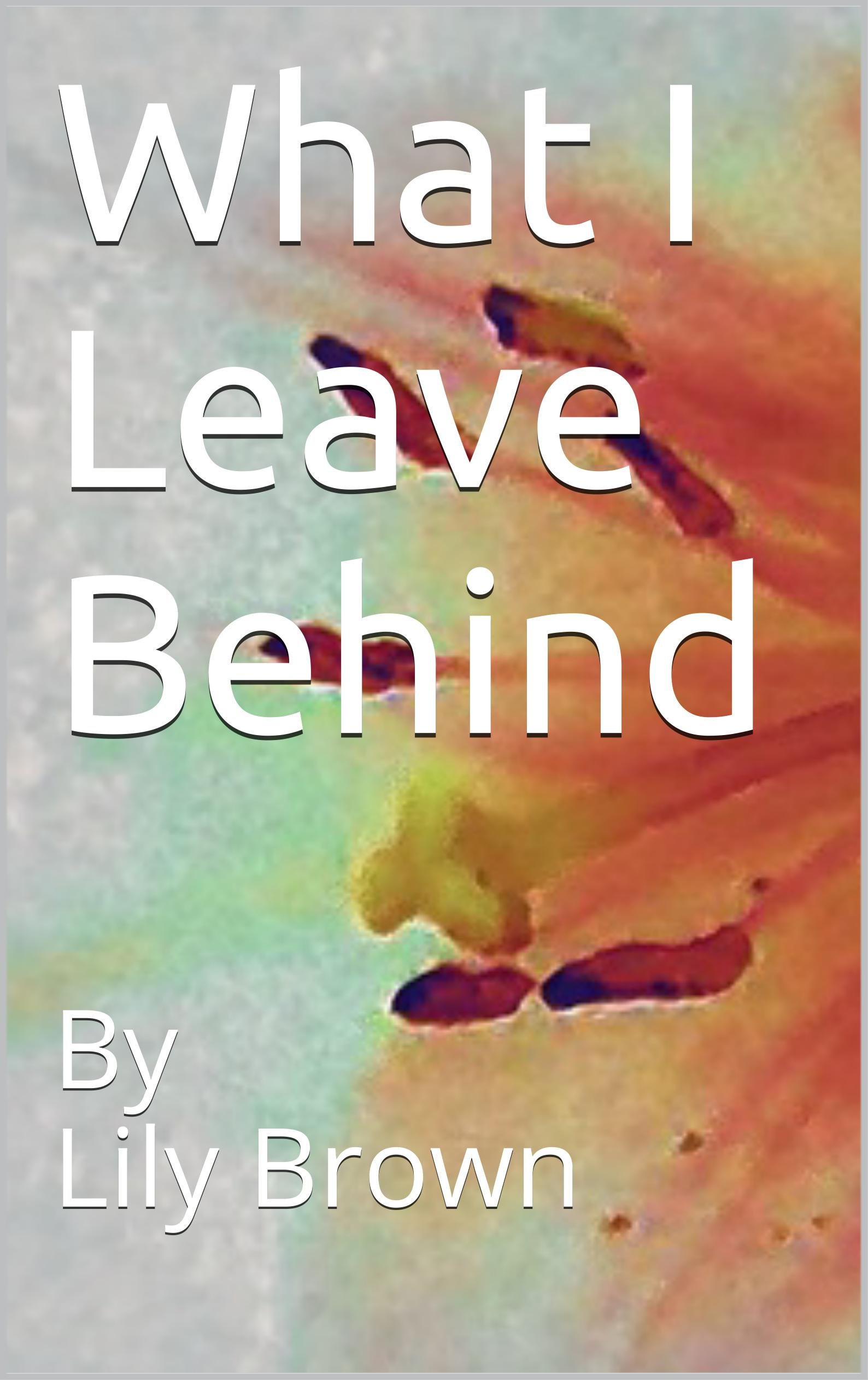 What I Leave Behind by Lily Brown Goodreads