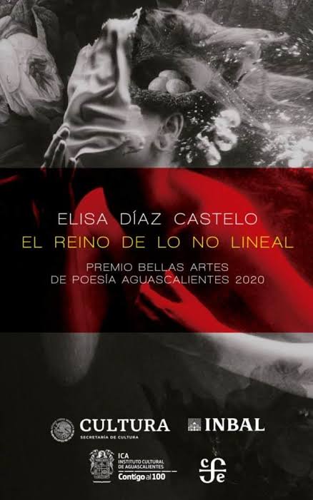 El reino de lo no lineal book cover