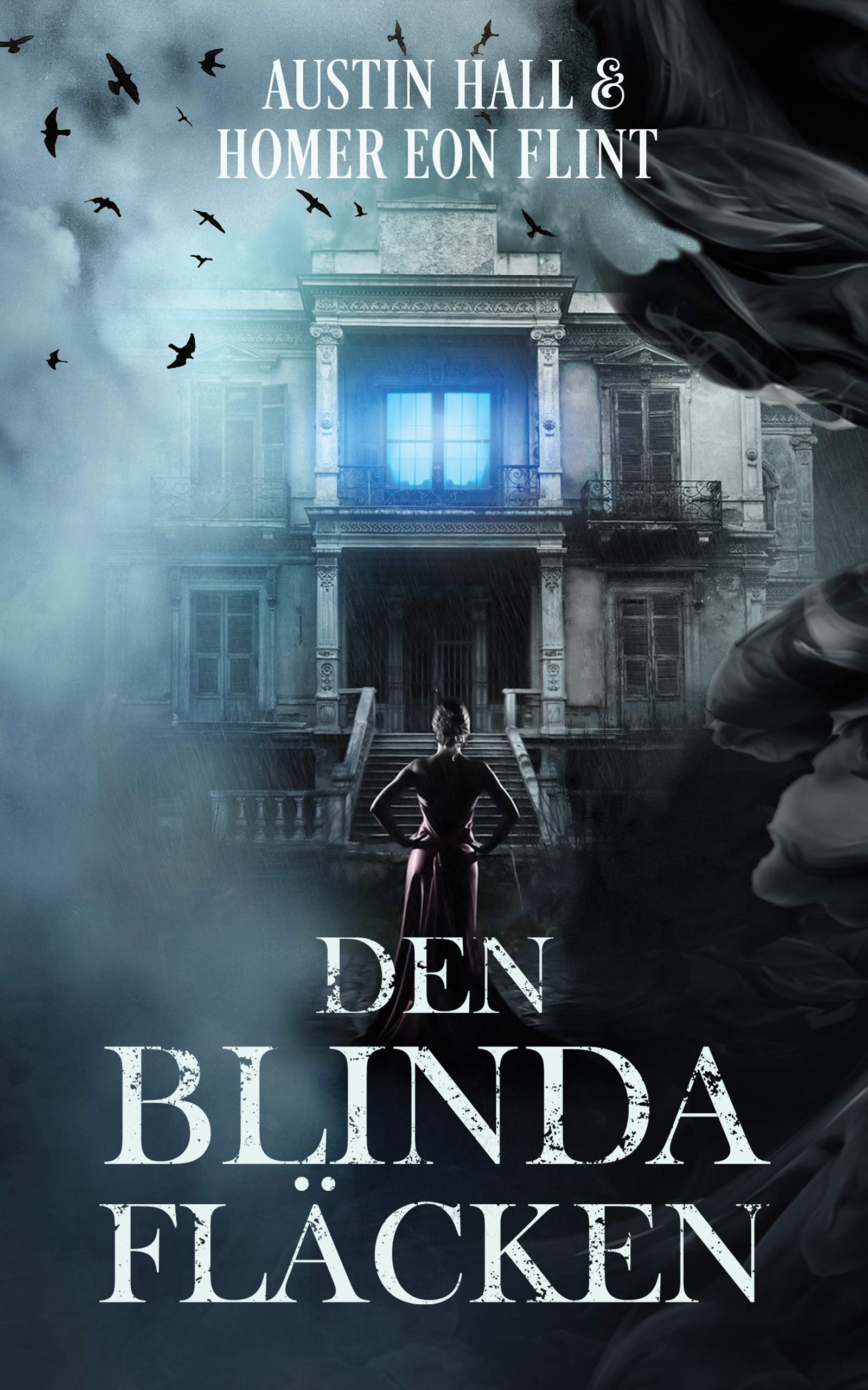 Blind Spot book cover 1