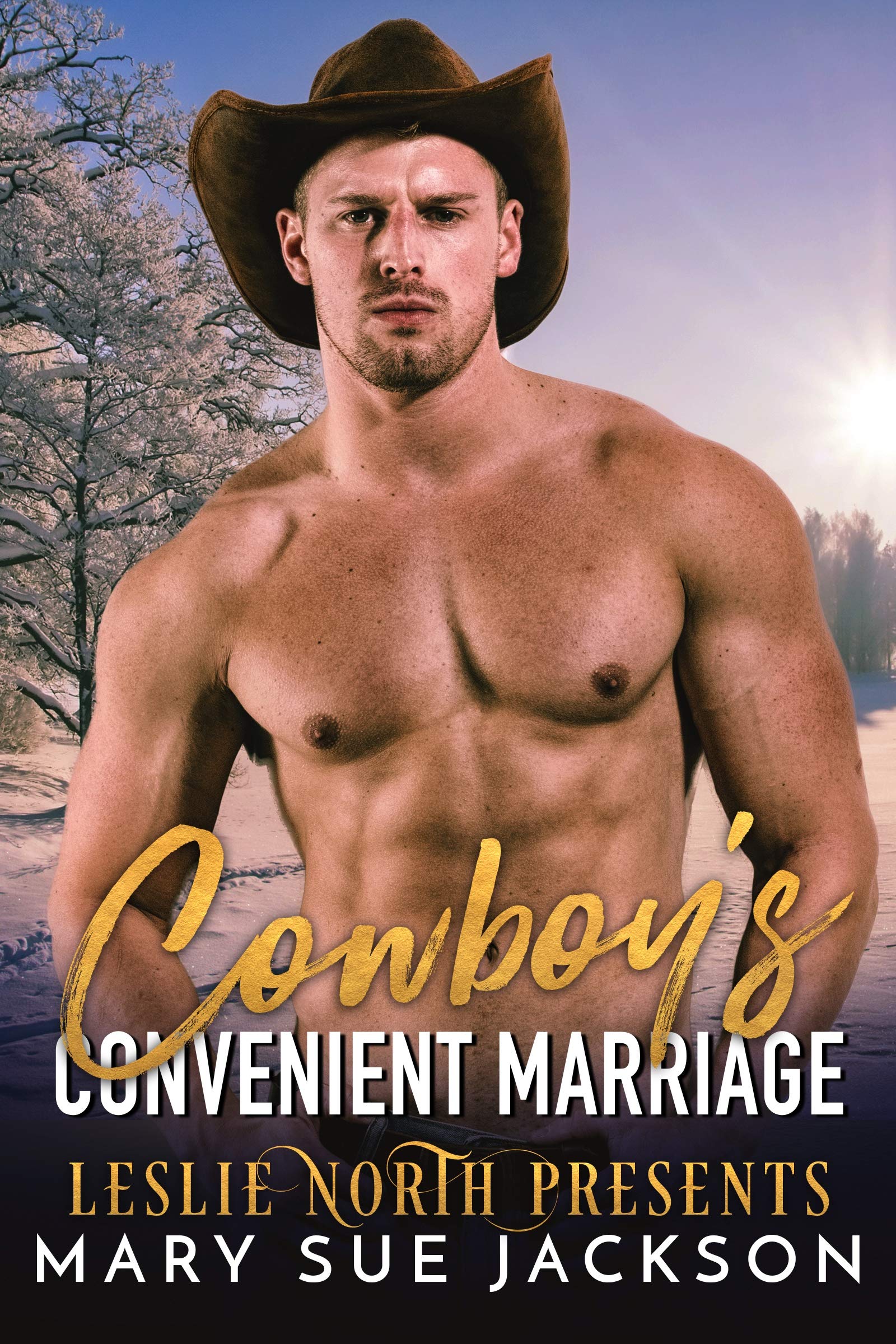 Cowboy's Convenient Marriage book cover