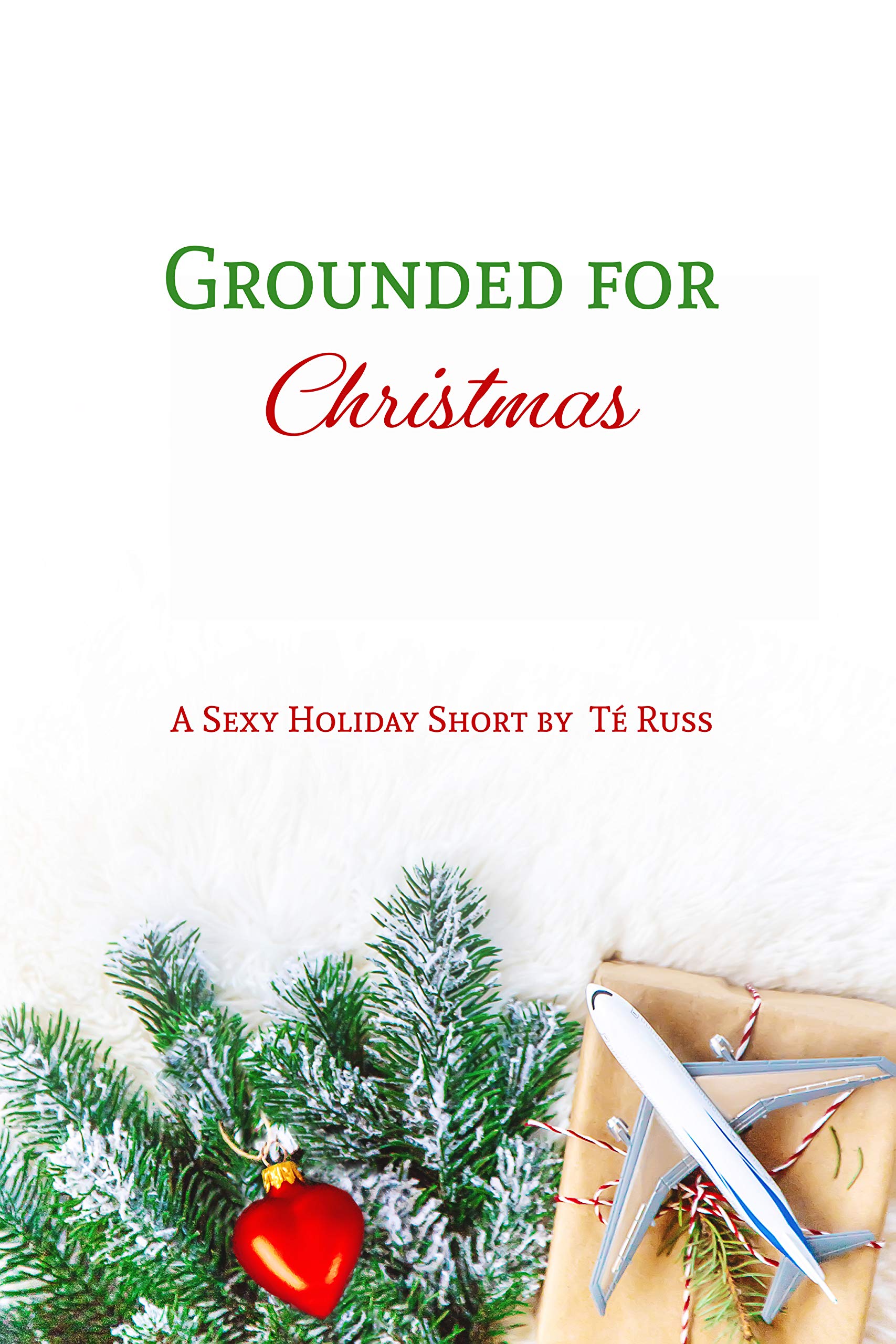 Grounded for Christmas book cover