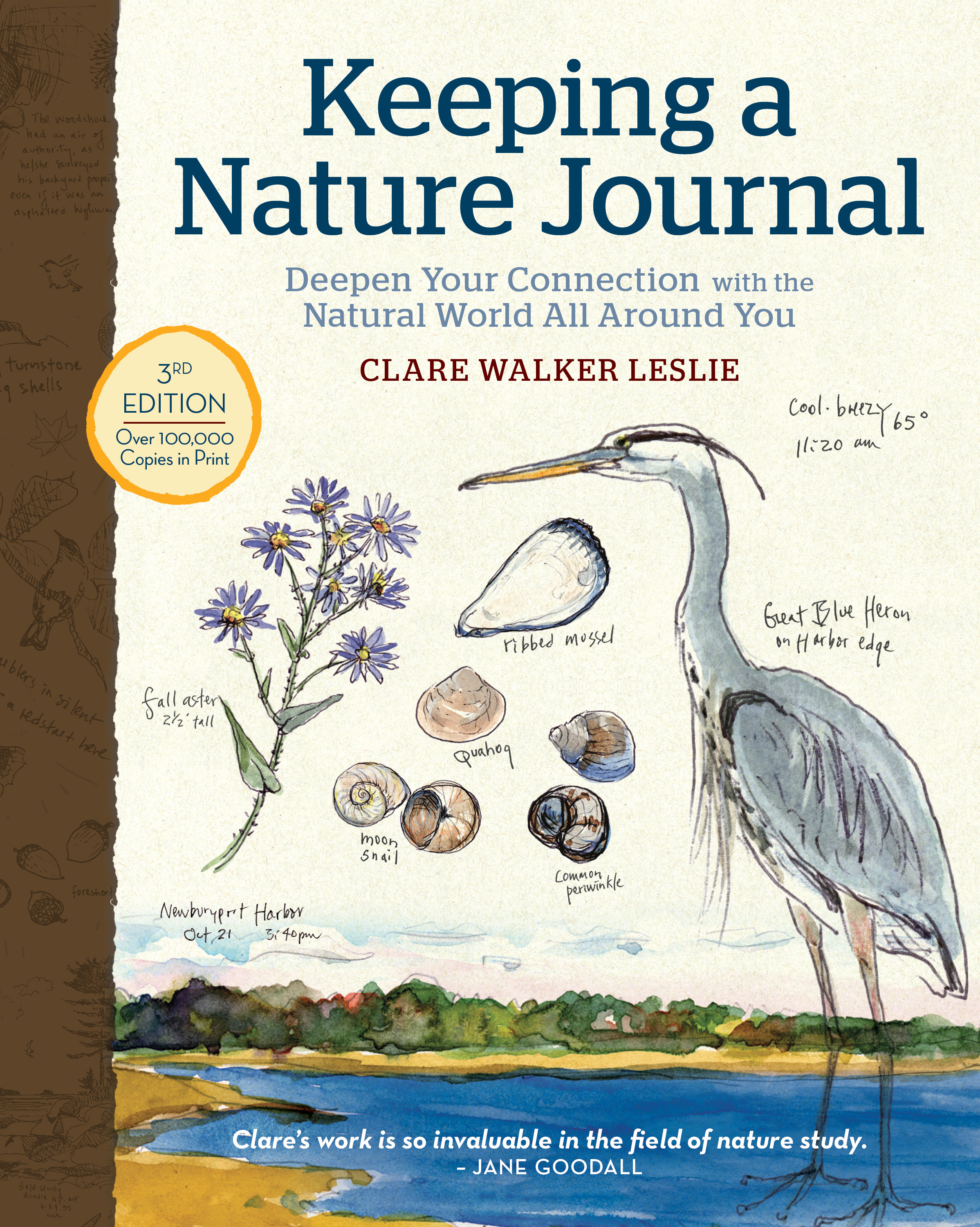 Keeping a Nature Journal: Deepen Your Connection with the Natural World All Around You