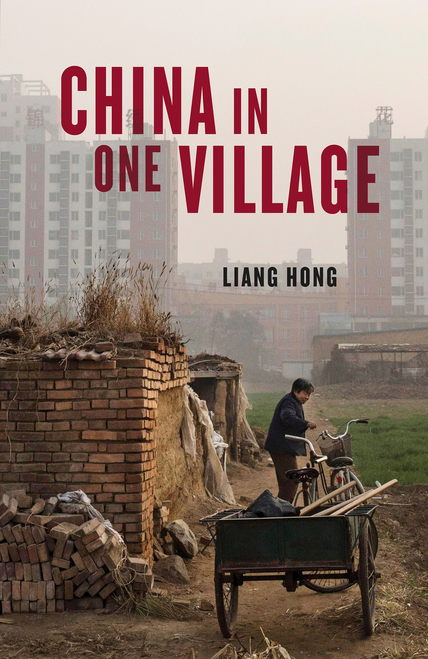 China in One Village book cover